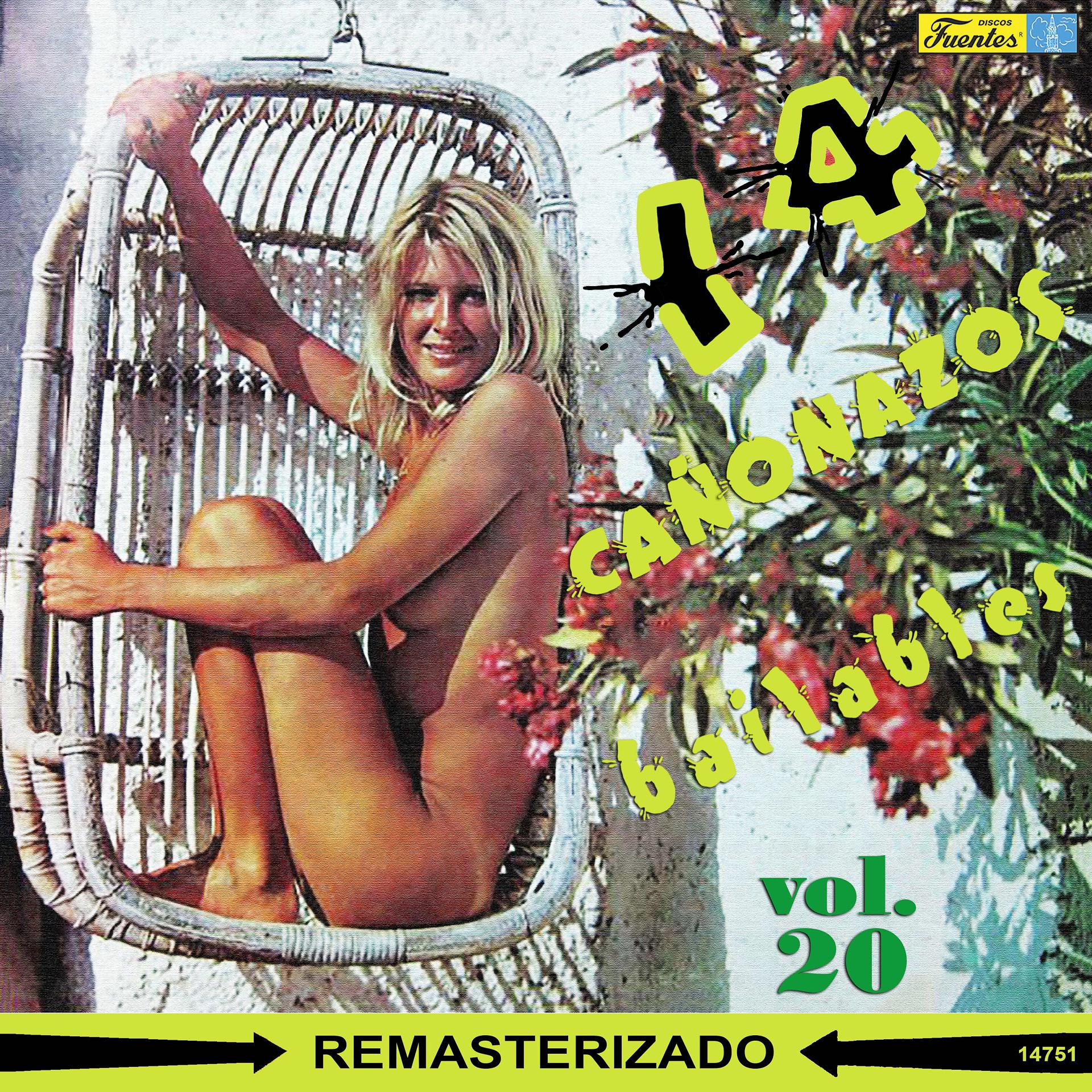 Постер альбома 14 Cañonazos Bailables, Vol. 20