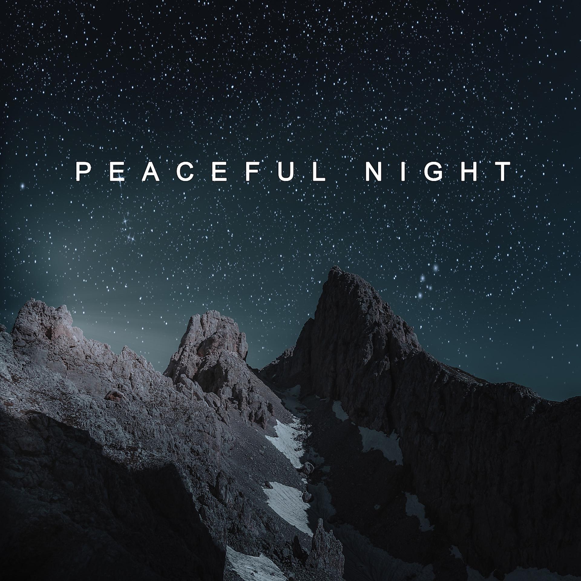 Постер альбома Peaceful Night
