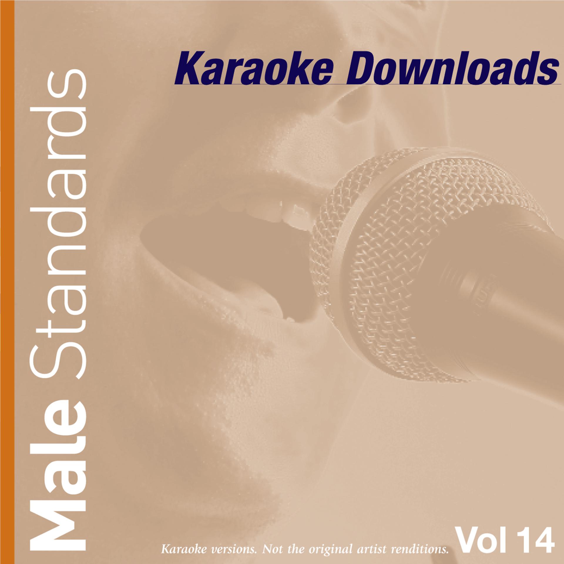 Постер альбома Karaoke Downloads - Male Standards Vol.14