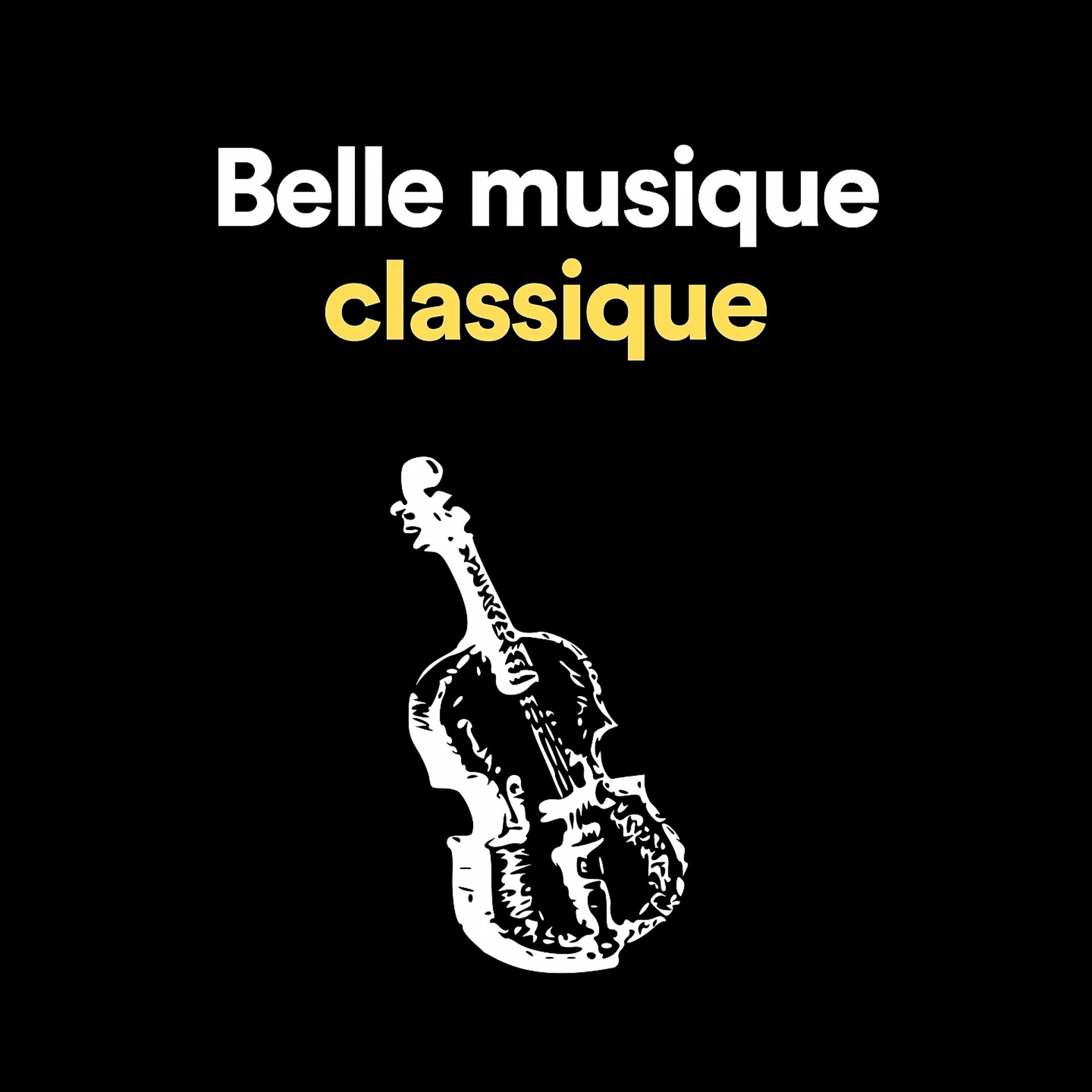 Постер альбома Belle musique classique