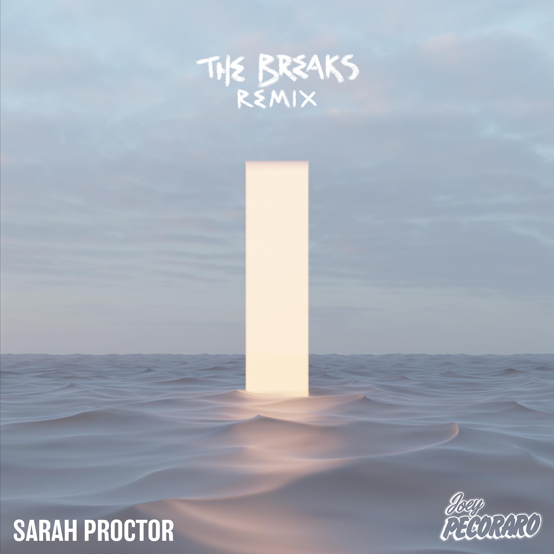 Постер альбома The Breaks (Joey Pecoraro Remix)