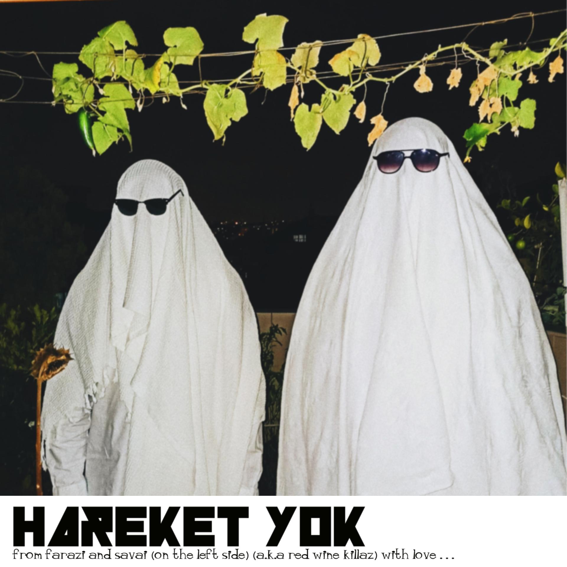 Постер альбома Hareket Yok