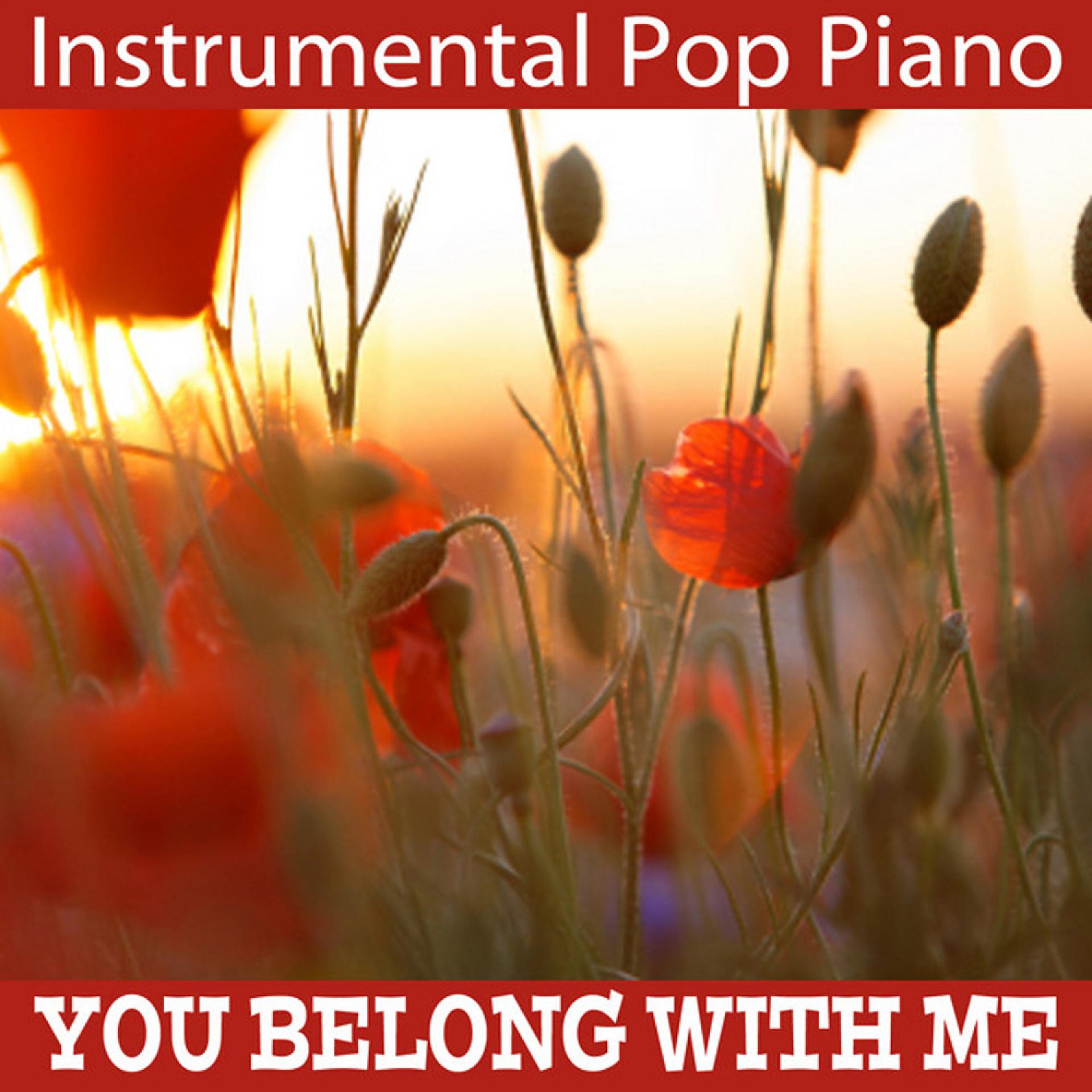 Постер альбома Instrumental Pop Piano: You Belong with Me