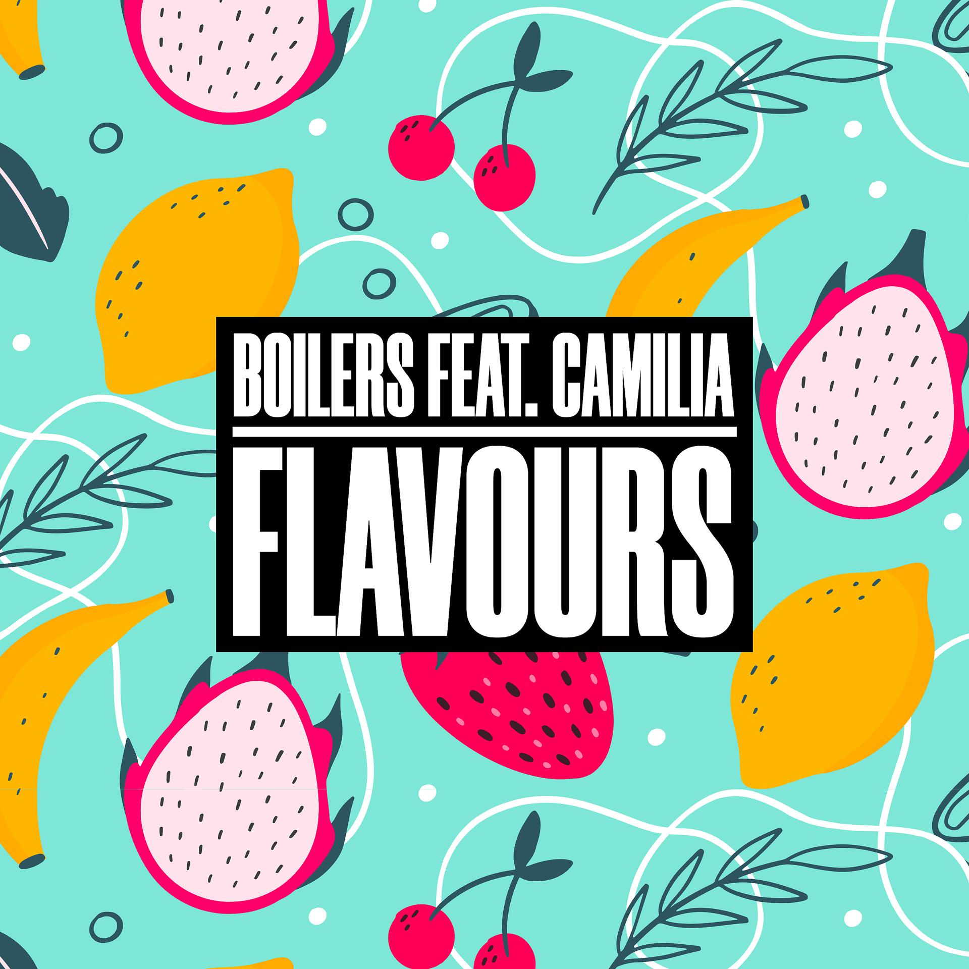Постер альбома Flavours (feat. Camilia)