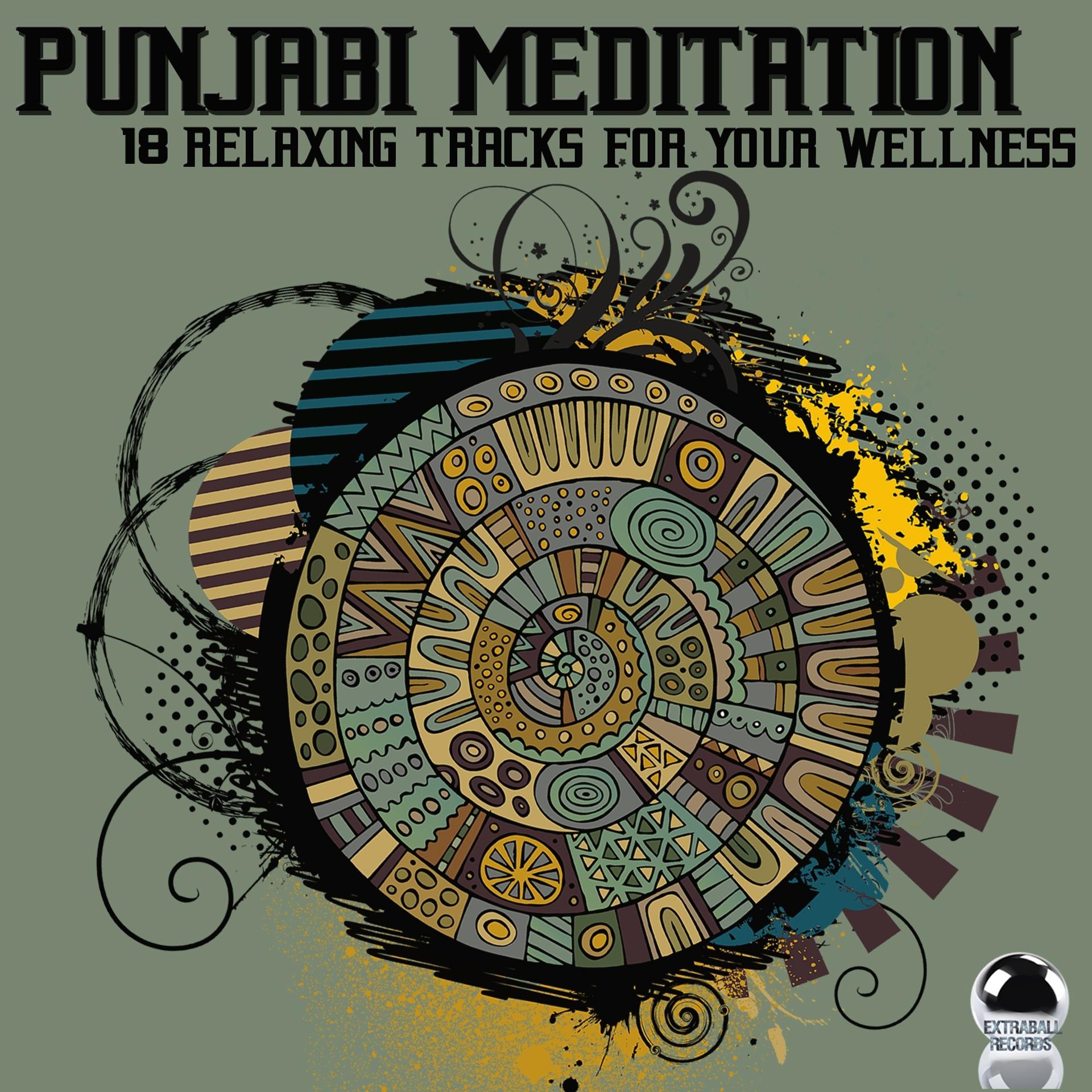 Постер альбома Punjabi Meditation: 18 Relaxing Tracks for Your Wellness