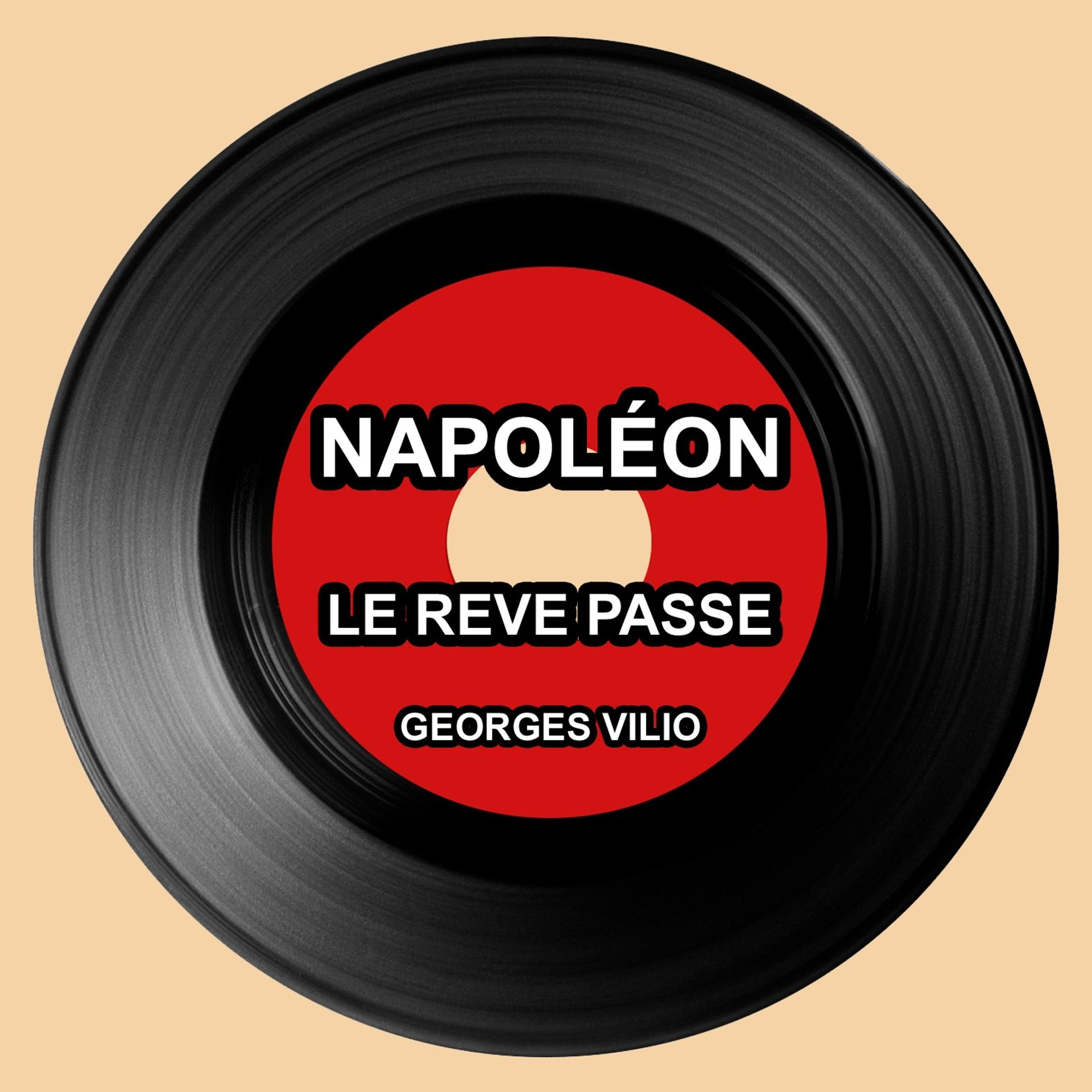 Постер альбома Napoléon : Le rêve passe