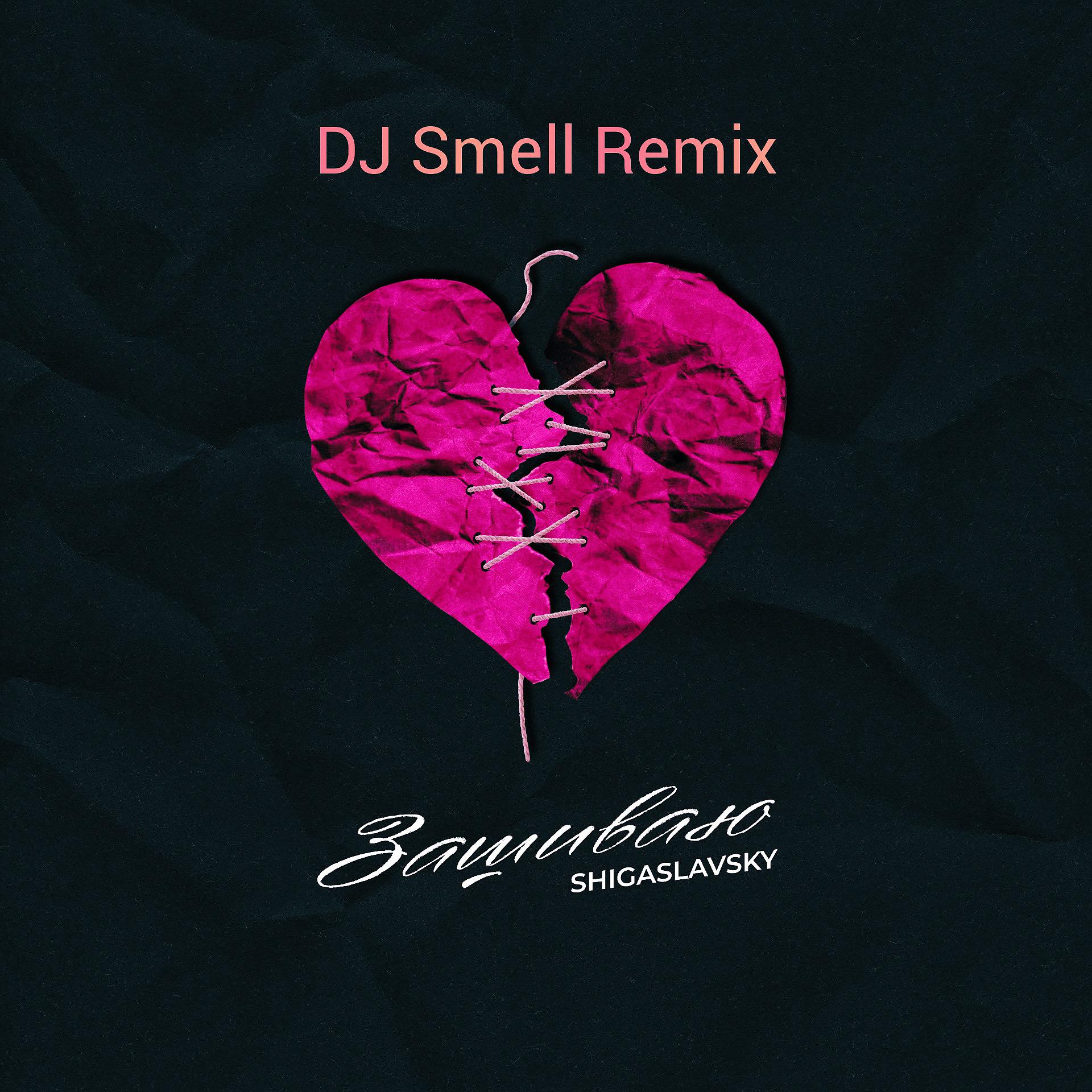 Постер альбома Зашиваю (DJ Smell Remix)