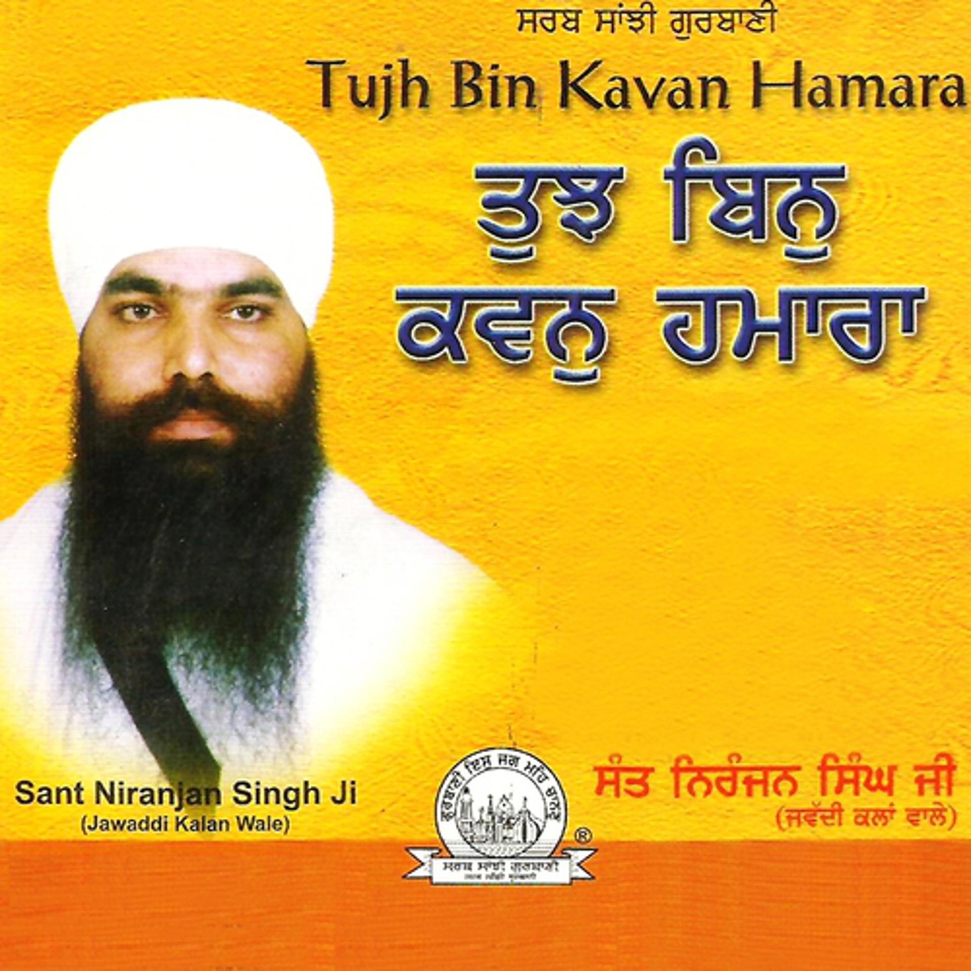 Постер альбома Tujh Bin Kavan Hamara