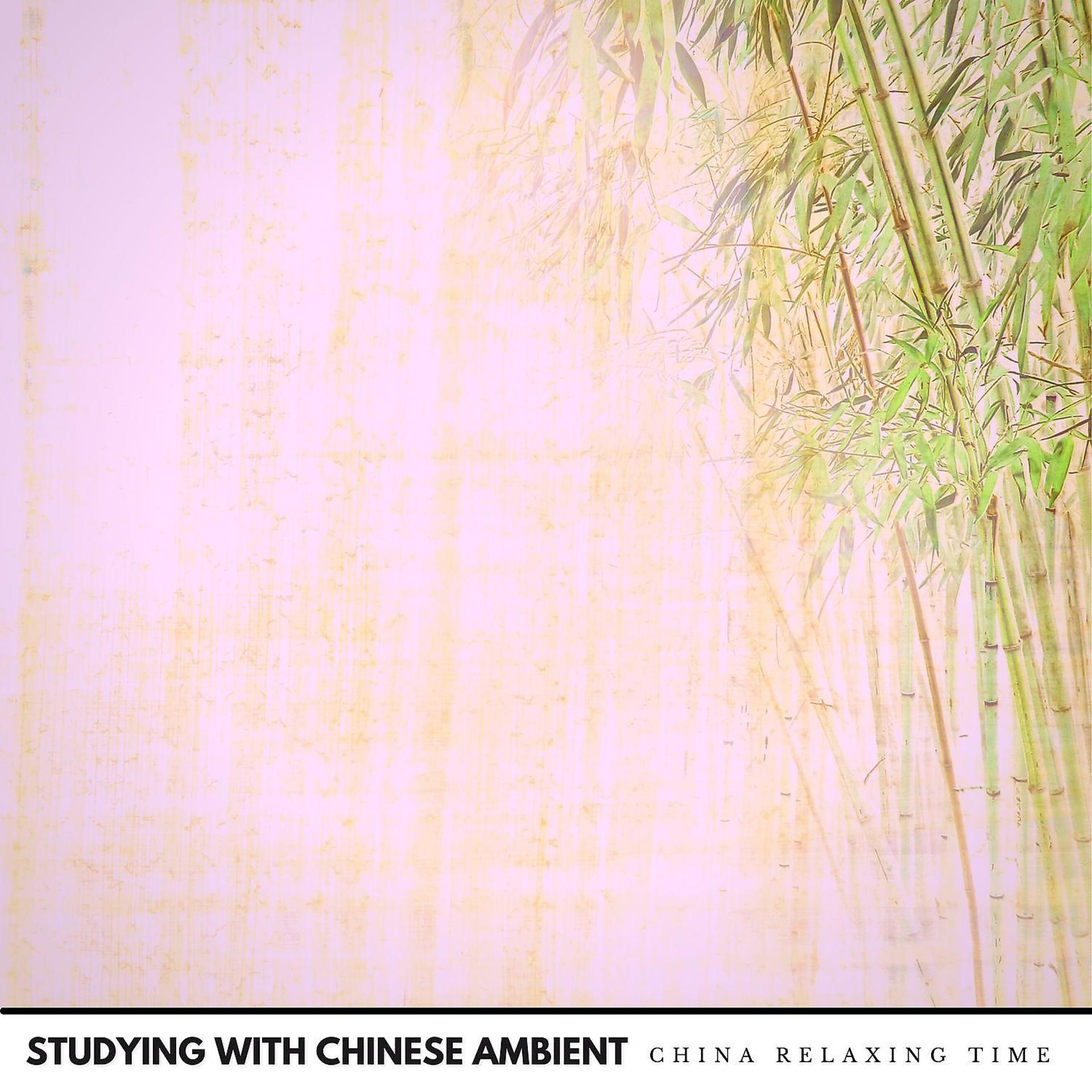 Постер альбома Calm Music for Studying with Chinese Ambient
