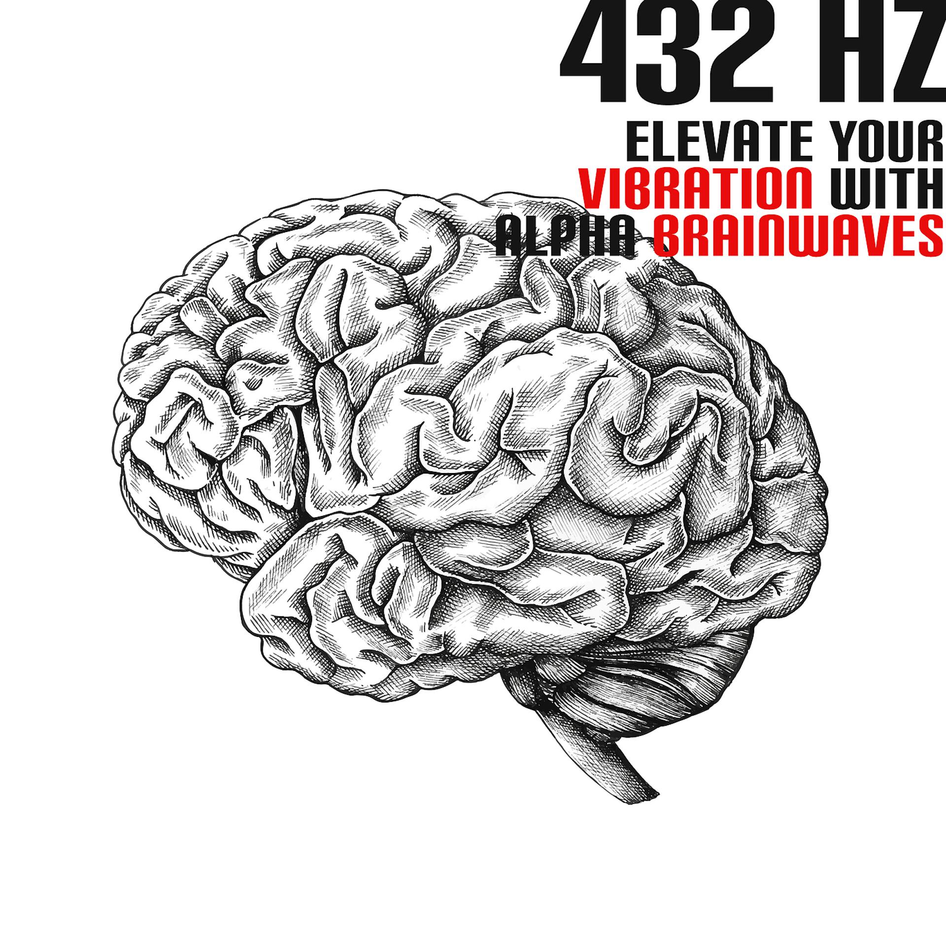Постер альбома 432 Hz: Elevate Your Vibration with Alpha Brainwaves