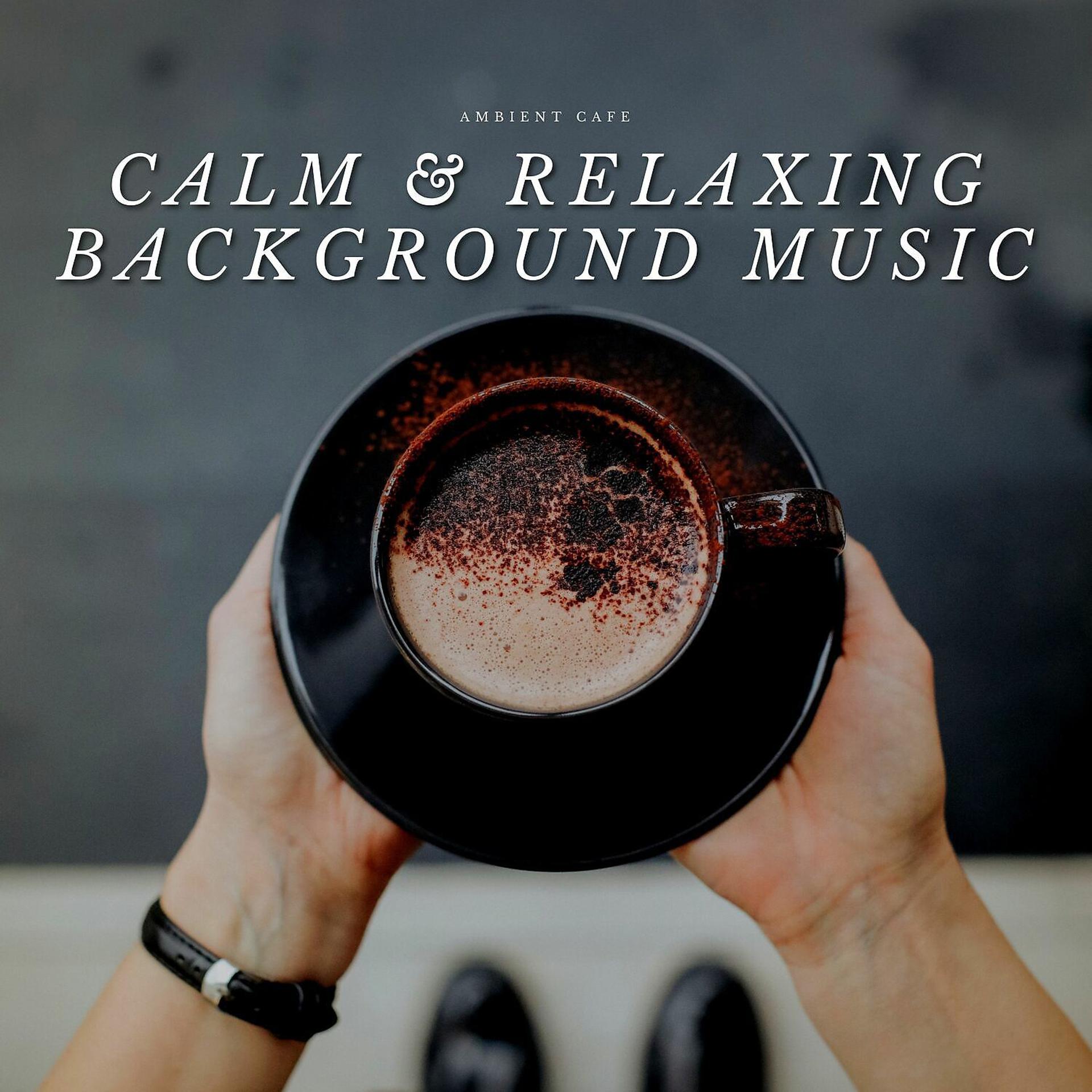 Постер альбома Calm & Relaxing Background Music