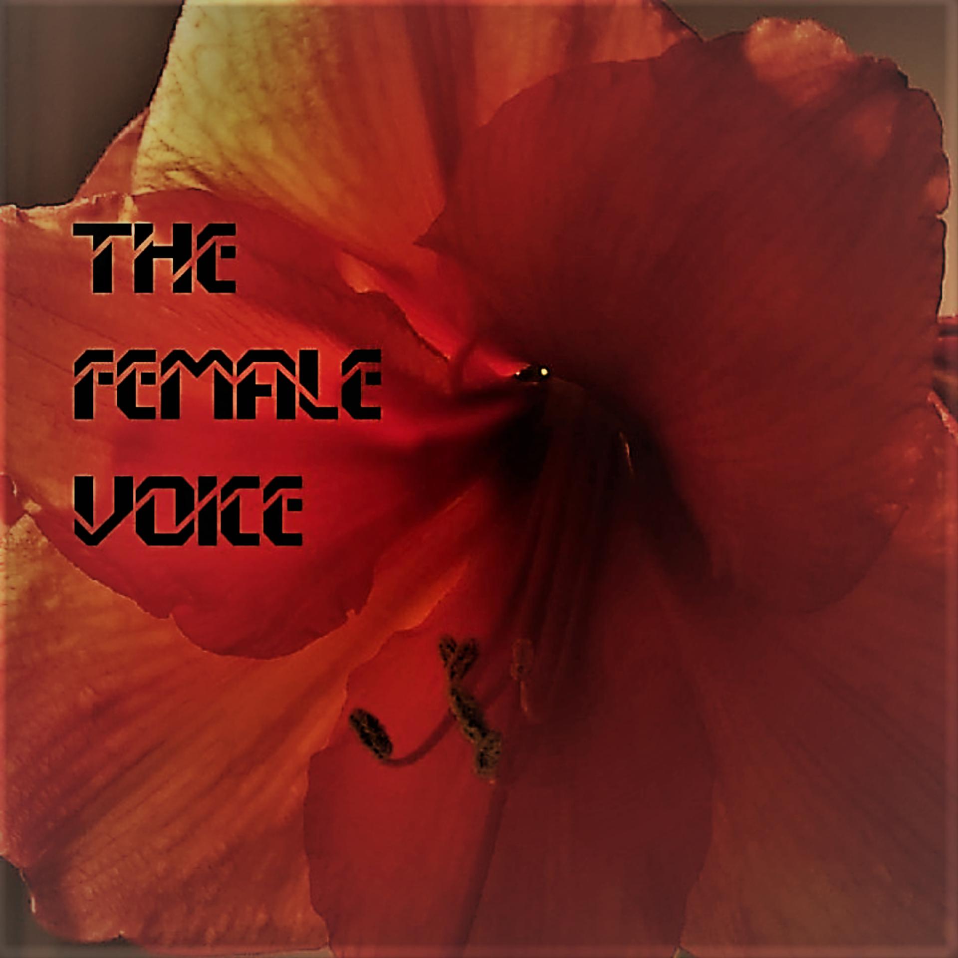 Постер альбома The Female Voice