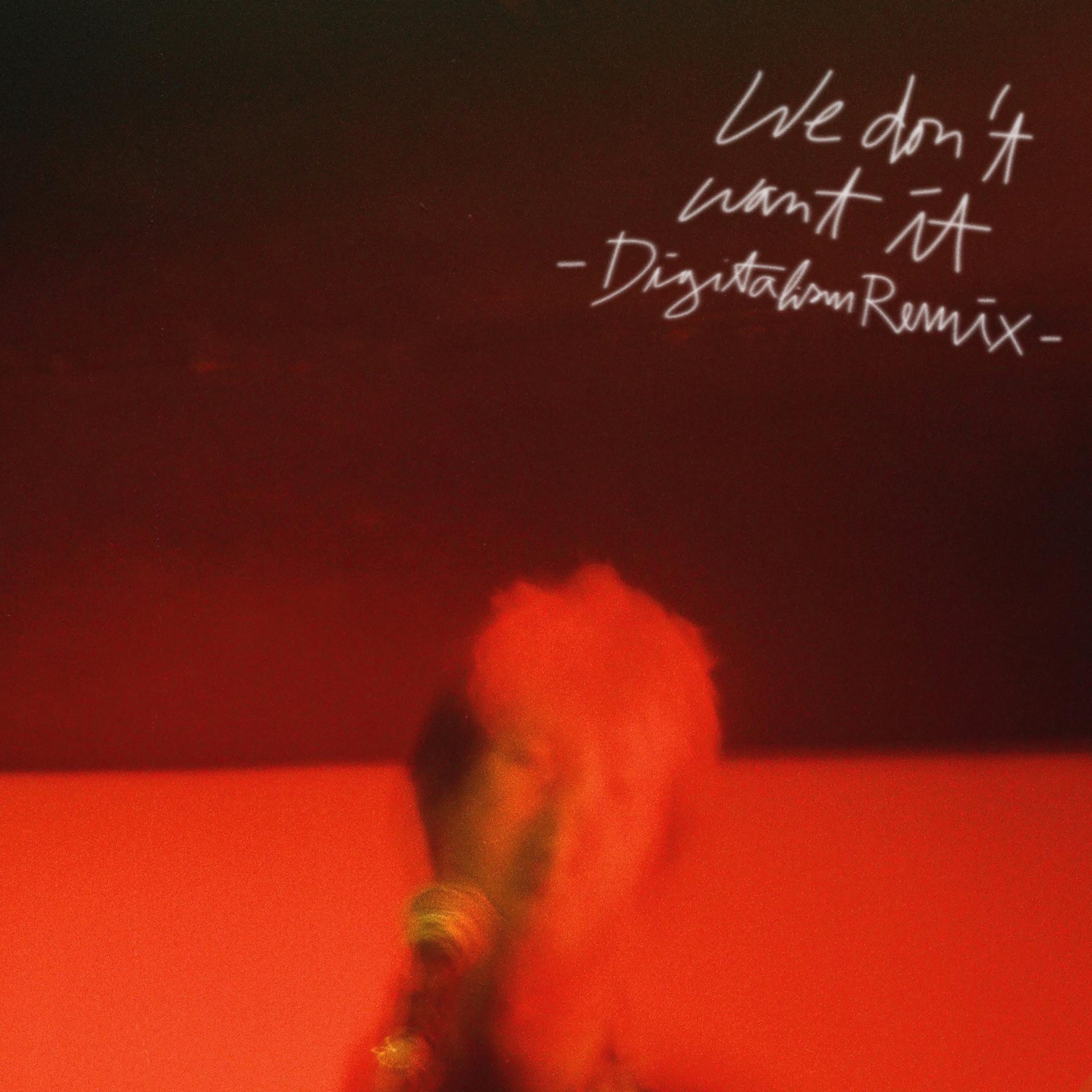 Постер альбома We Don't Want It (Digitalism Remix)