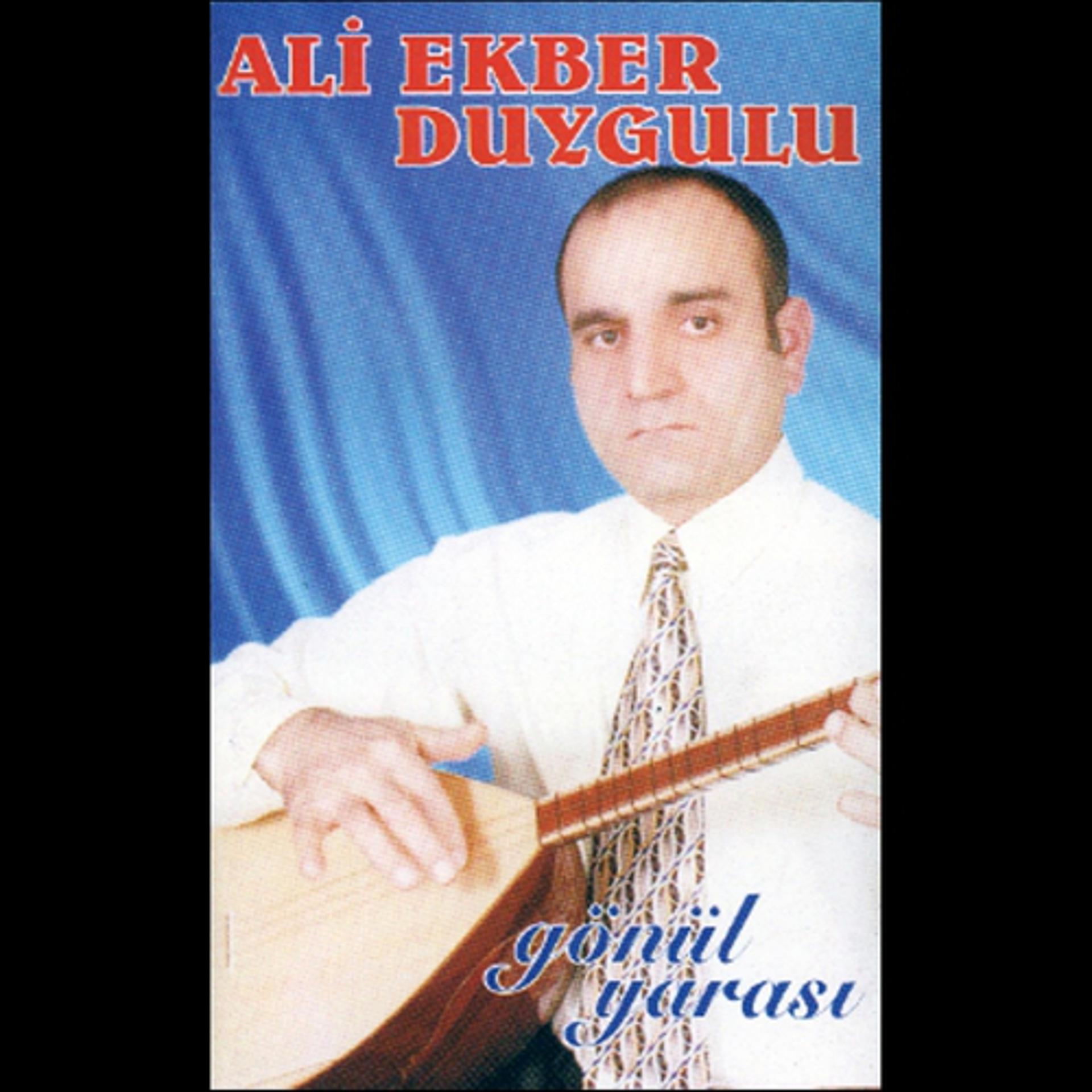 Постер альбома Gönül Yarası