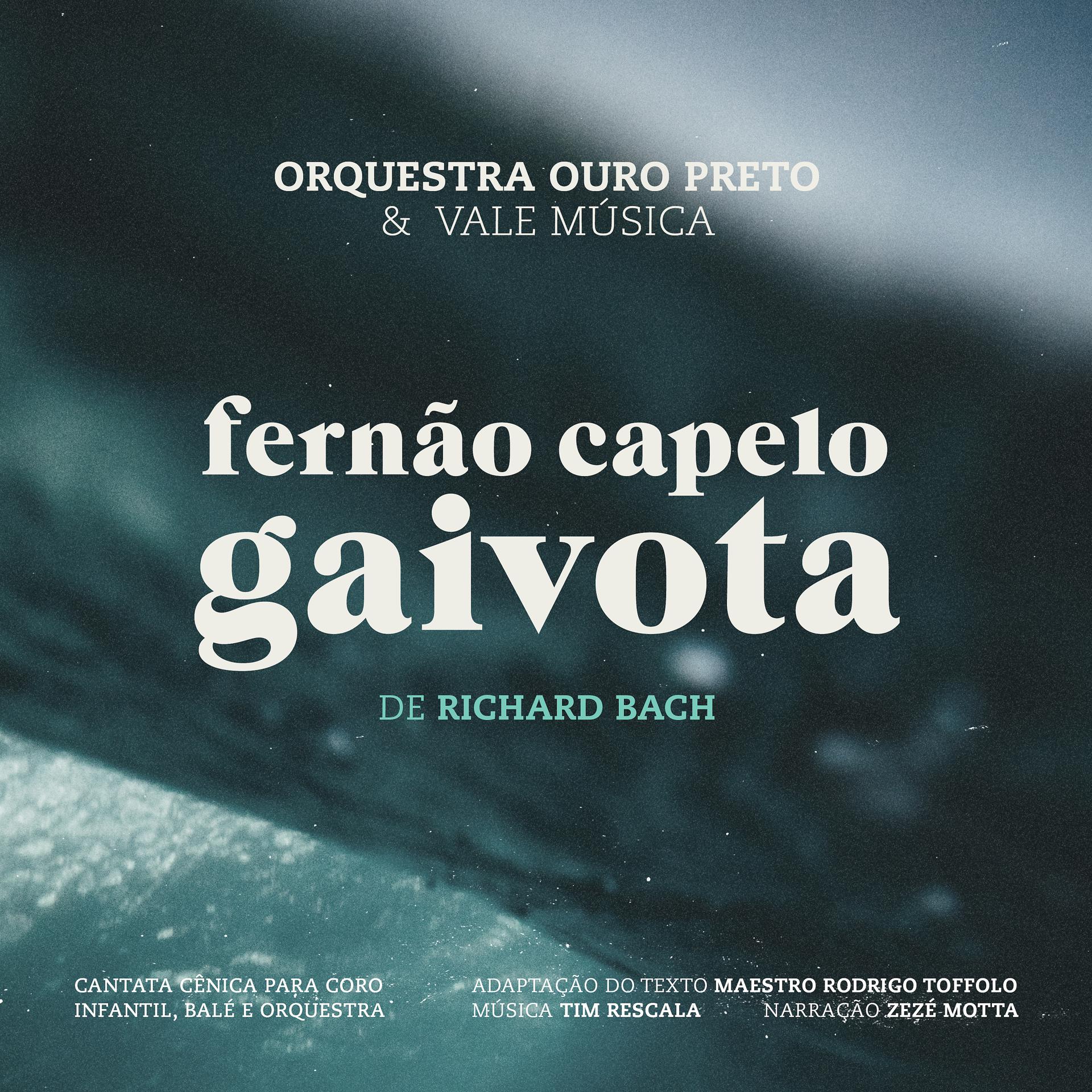 Постер альбома Fernão Capelo Gaivota