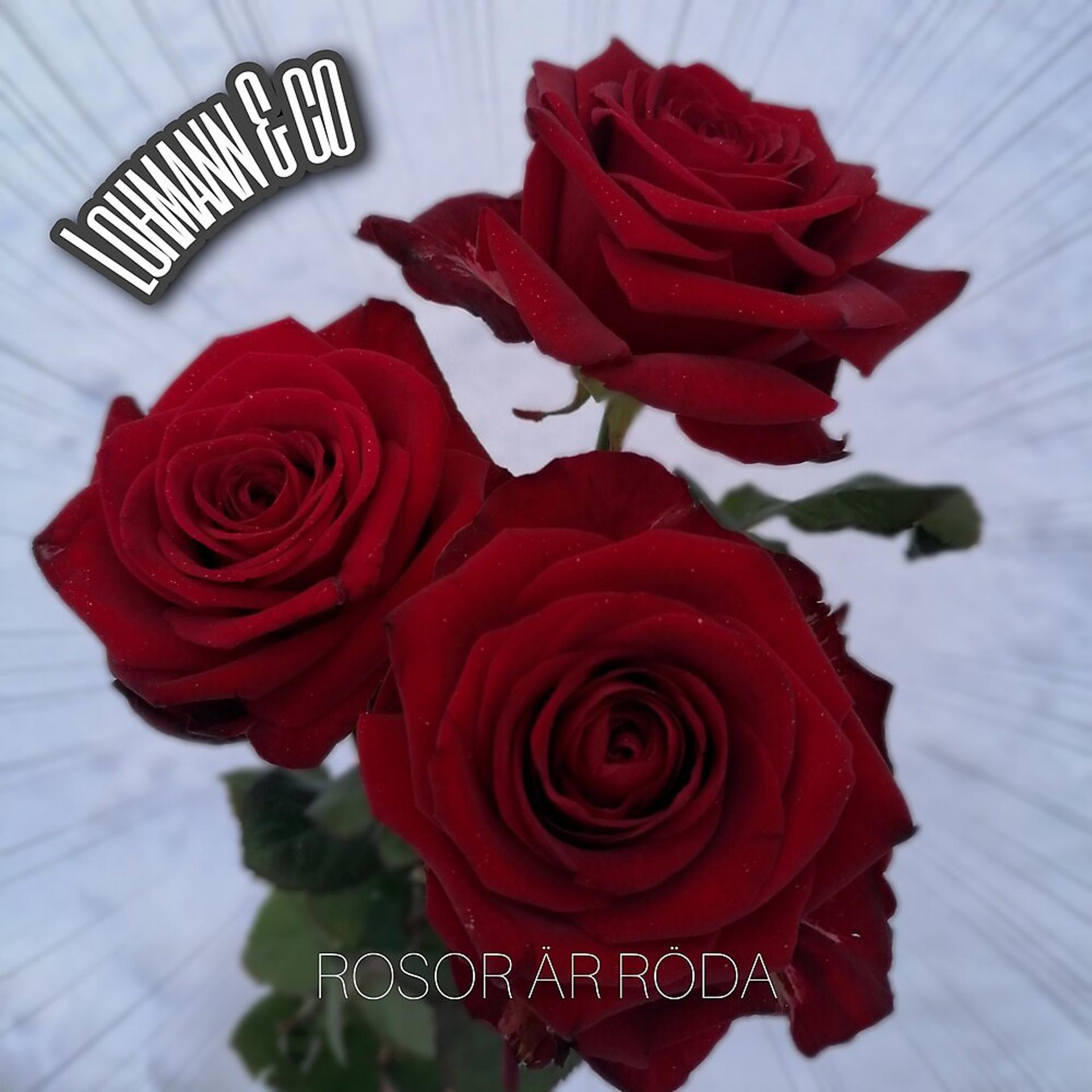 Постер альбома Rosor är röda