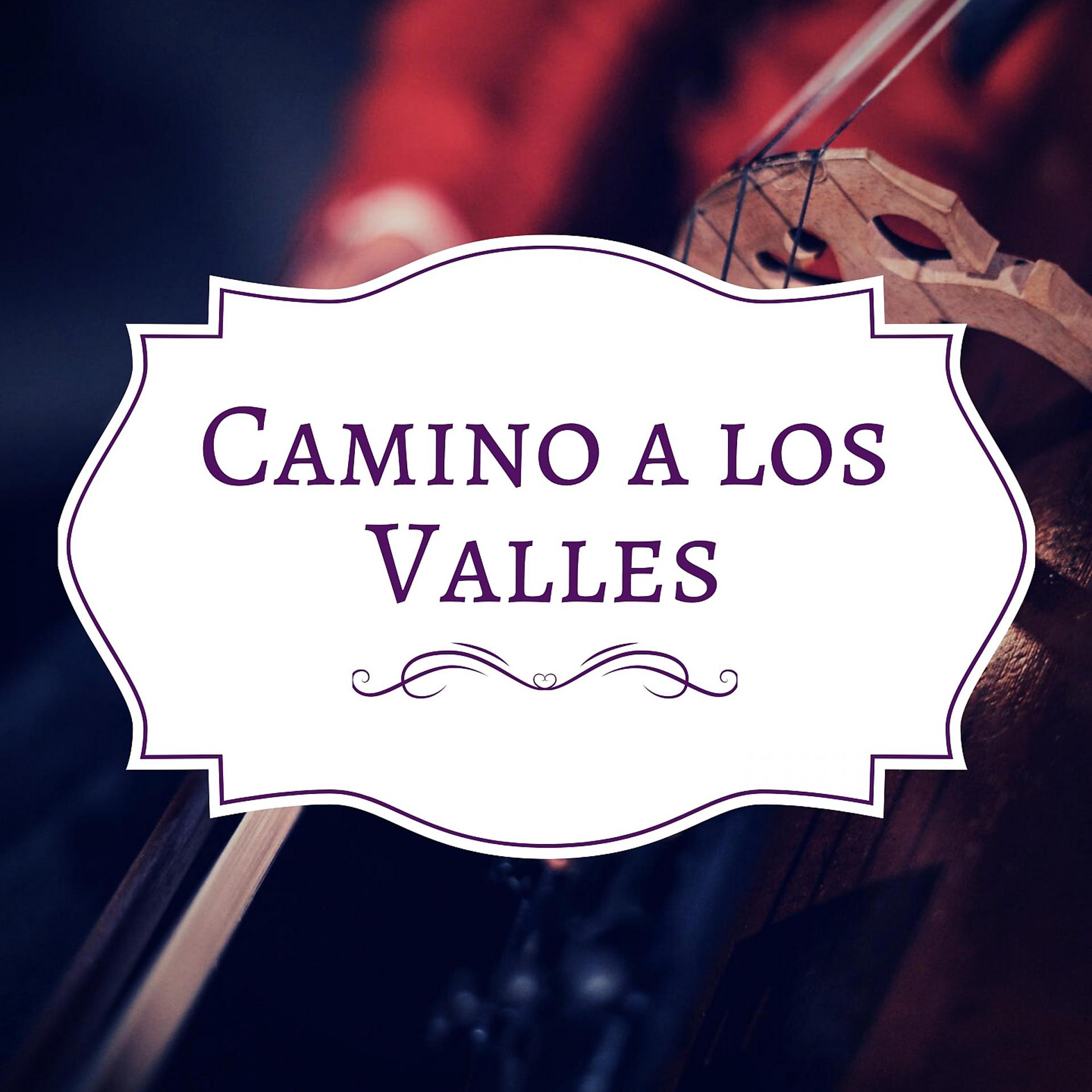 Постер альбома Camino a los Valles