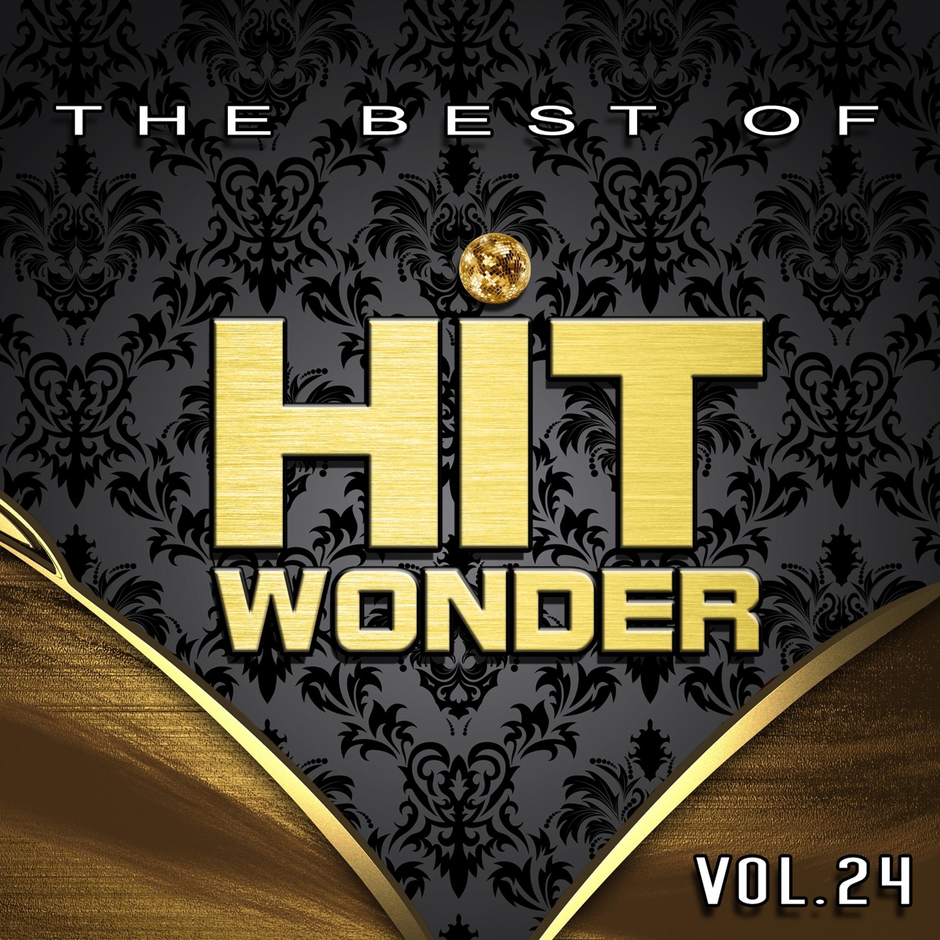 Постер альбома Hit Wonder: The Best Of, Vol. 24