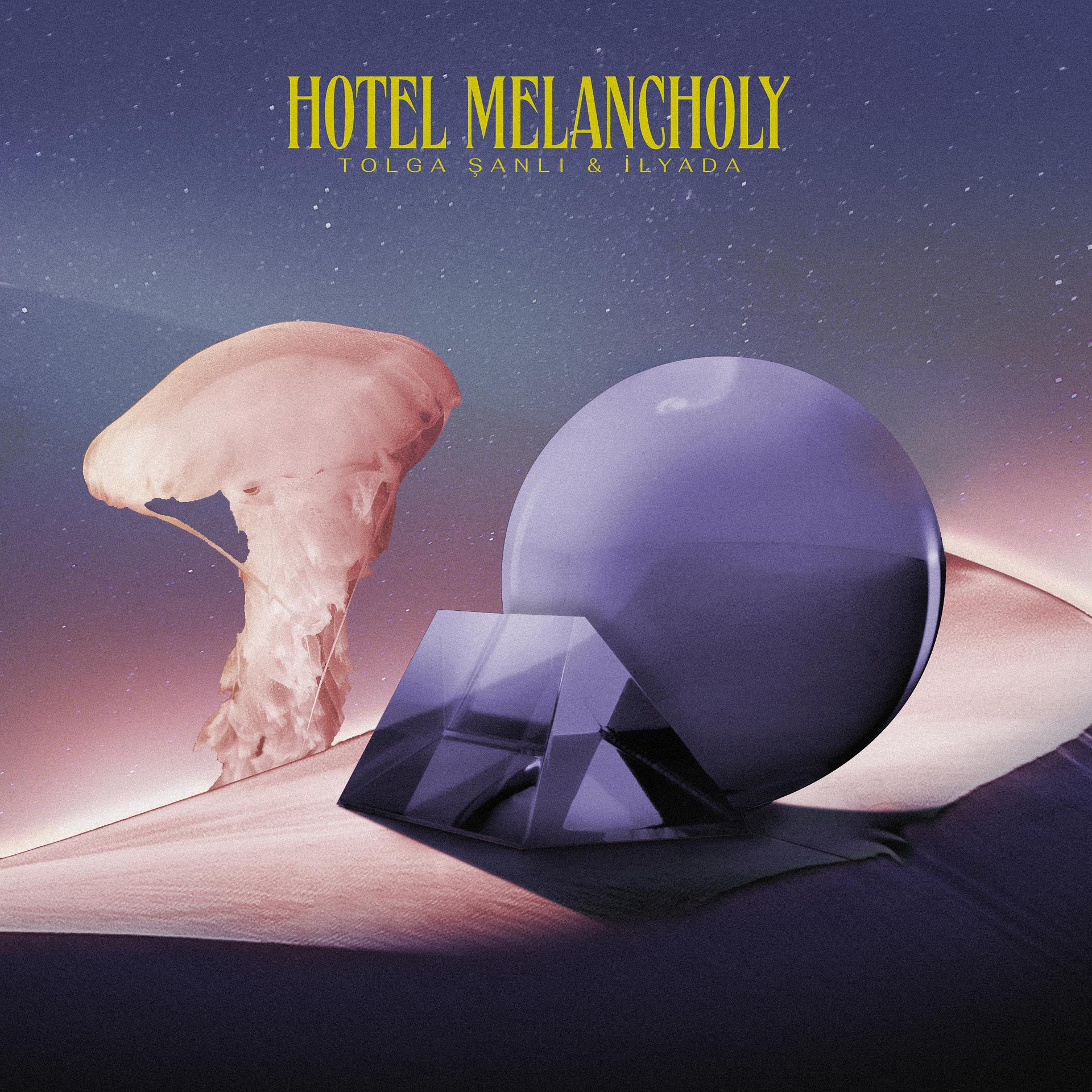 Постер альбома Hotel Melancholy