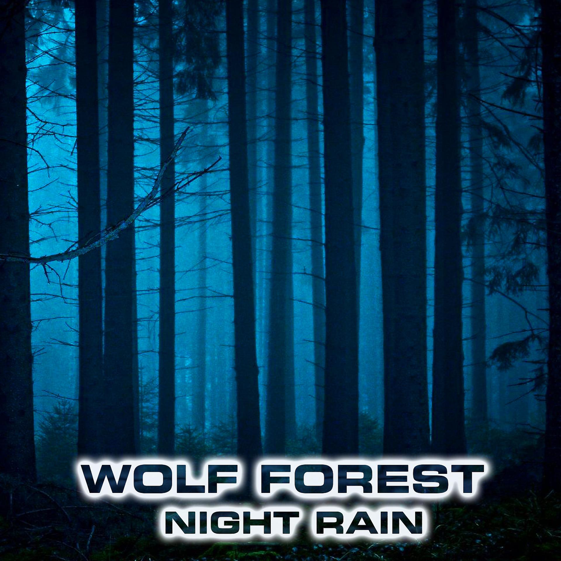 Постер альбома Wolf Forest Night Rain (feat. Nature Sounds FX, Atmospheres Sounds, Calming Nature Sound FX, Forest Atmosphere Sounds, Rain Atmosphere Sounds & White Noise Sound FX)