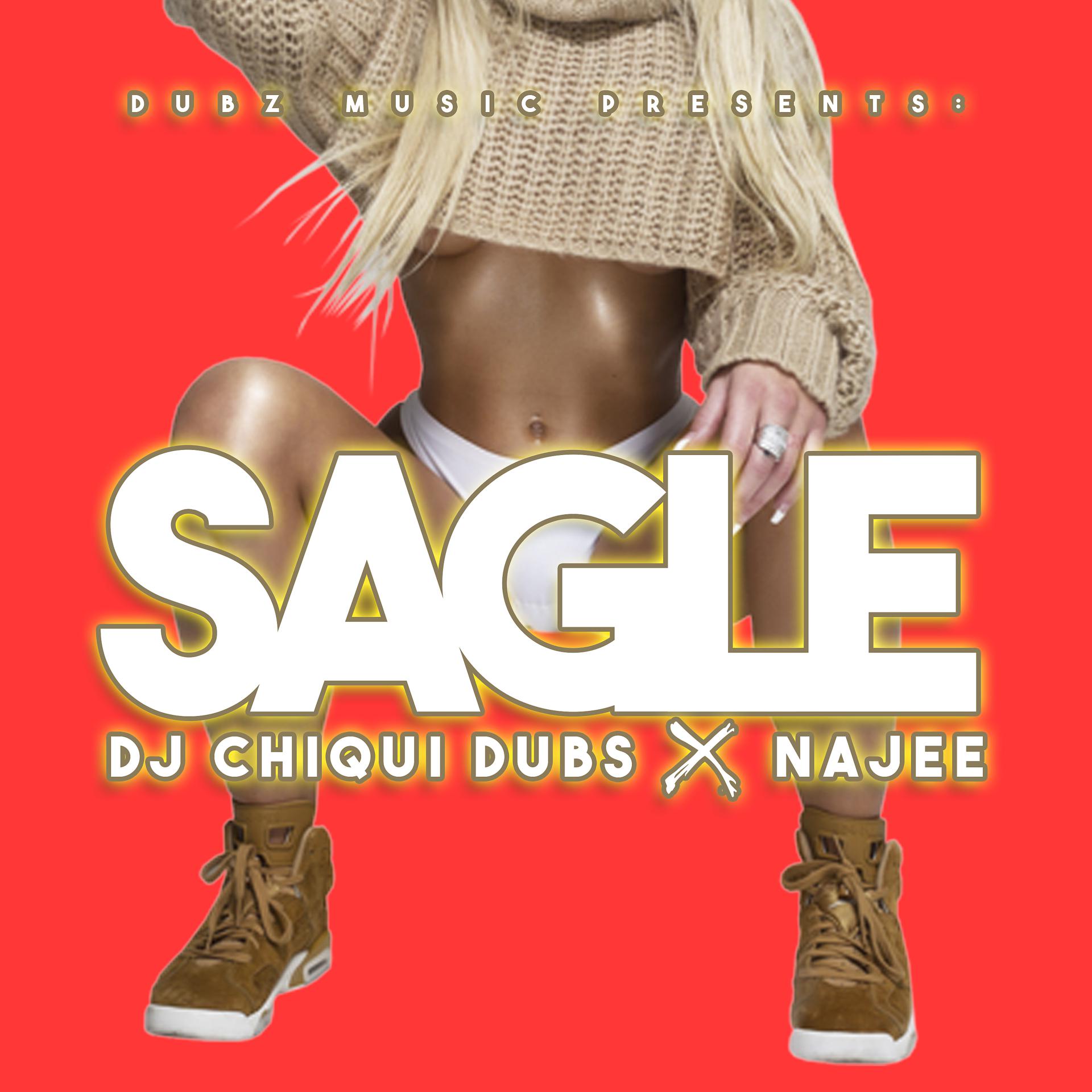 Постер альбома Sagle