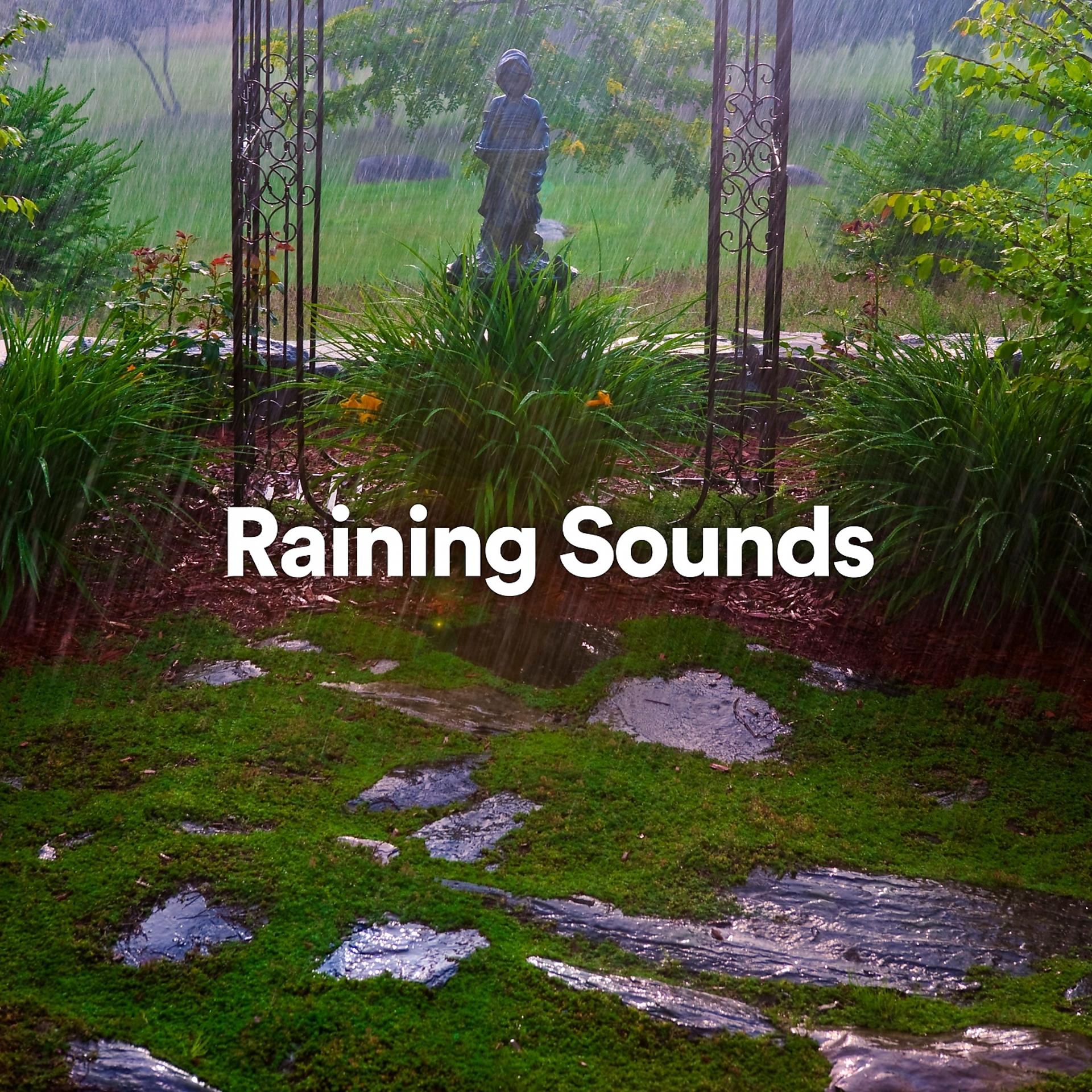Постер альбома Raining Sounds