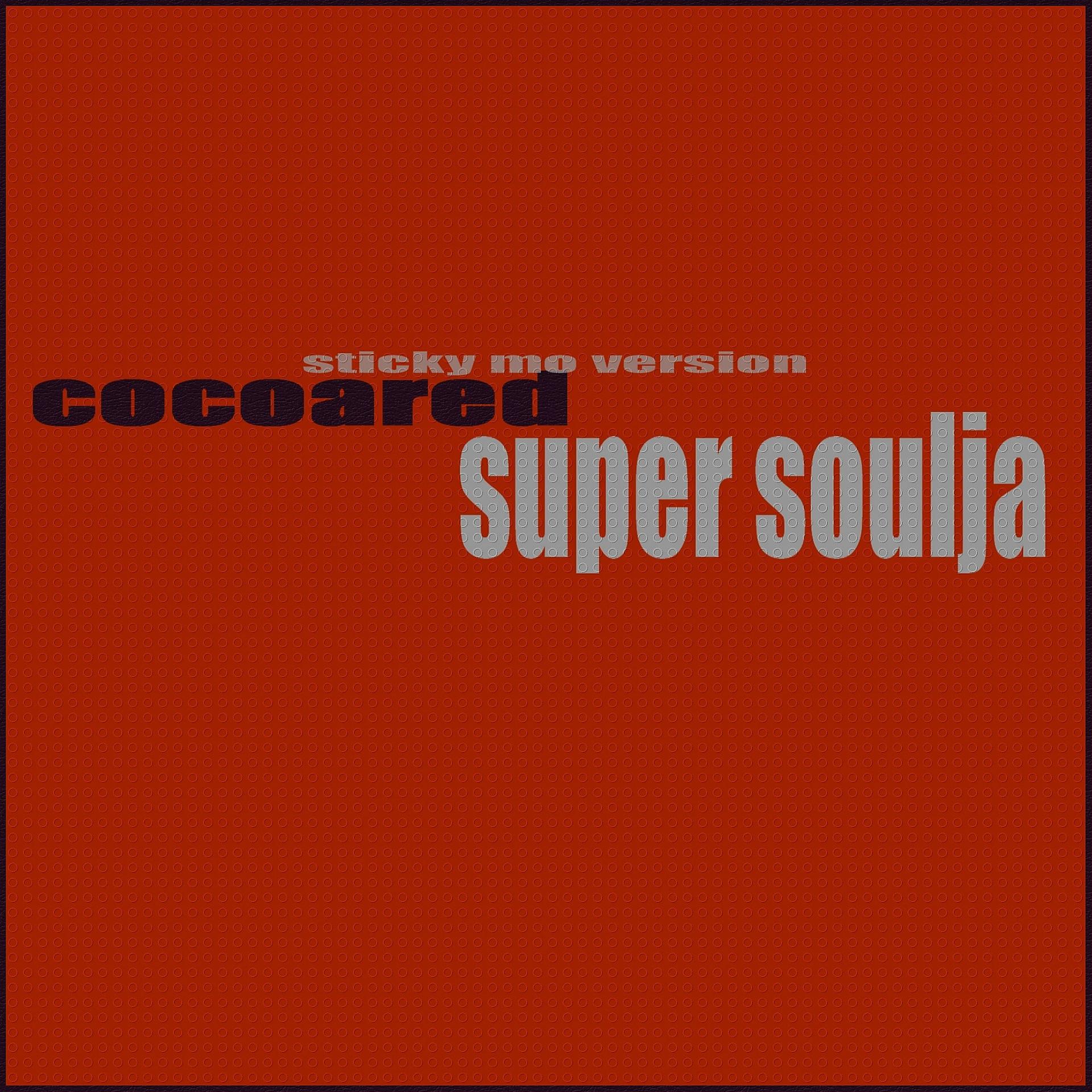 Постер альбома Super Soulja (sticky mo version)