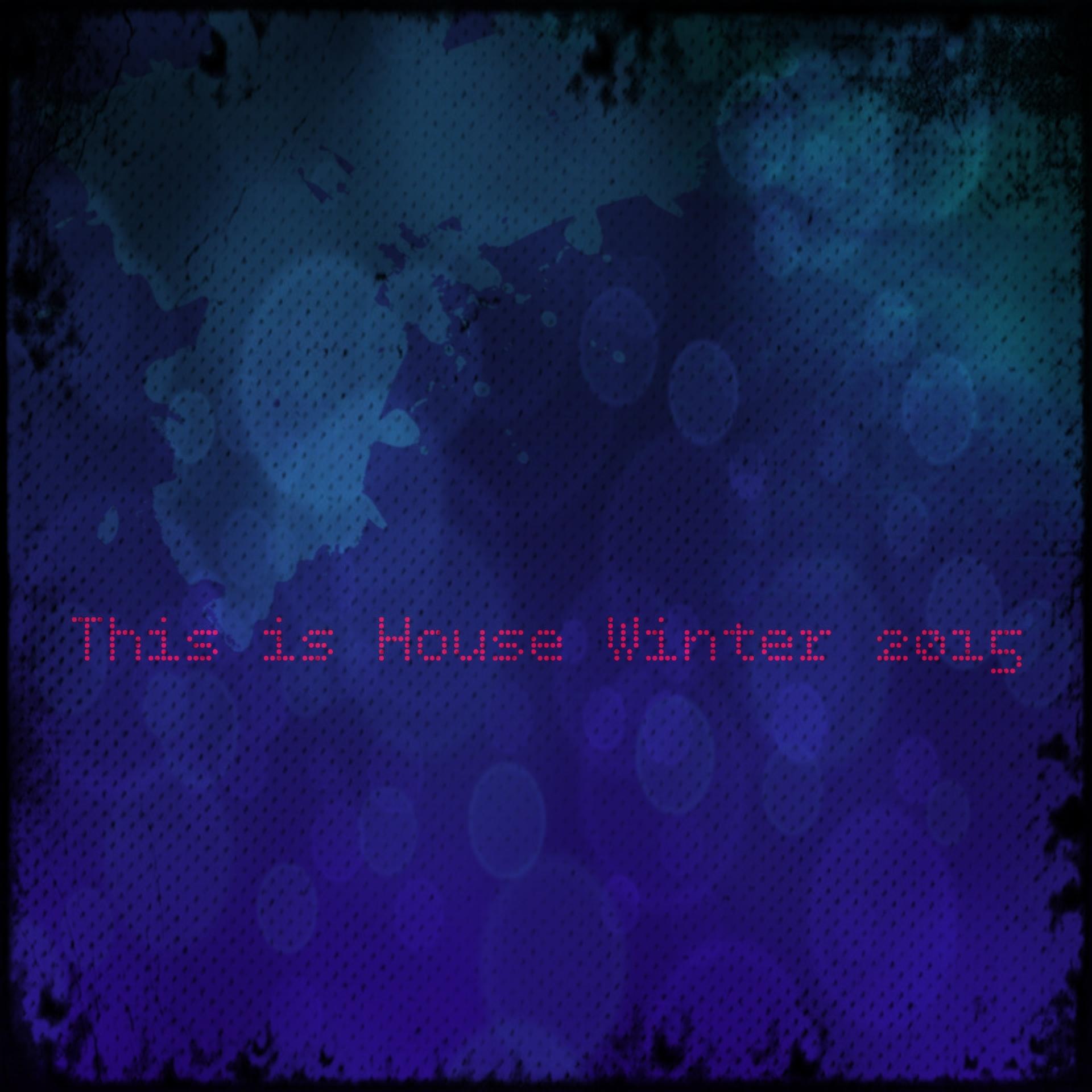 Постер альбома This Is House Winter 2015 (Top 50 Ibiza Sound Only for DJ)