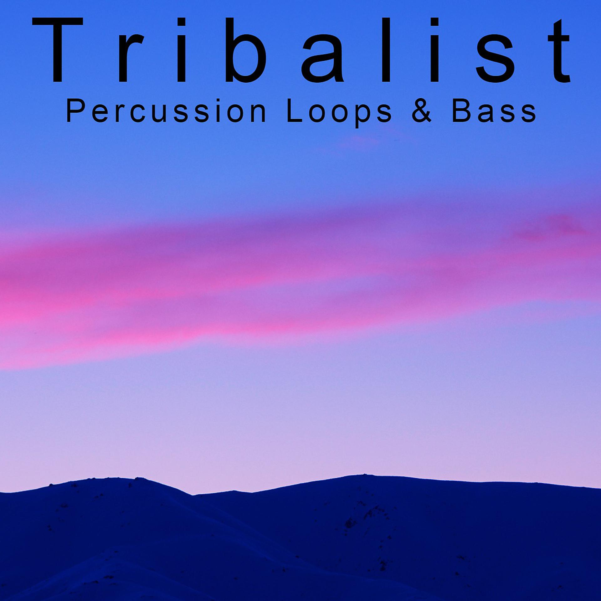 Постер альбома Percussion Loops & Bass