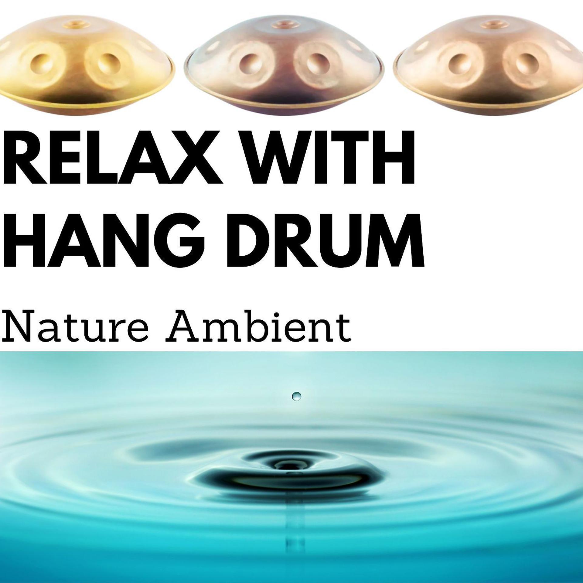 Постер альбома Relax with Hang Drum & Nature Ambient