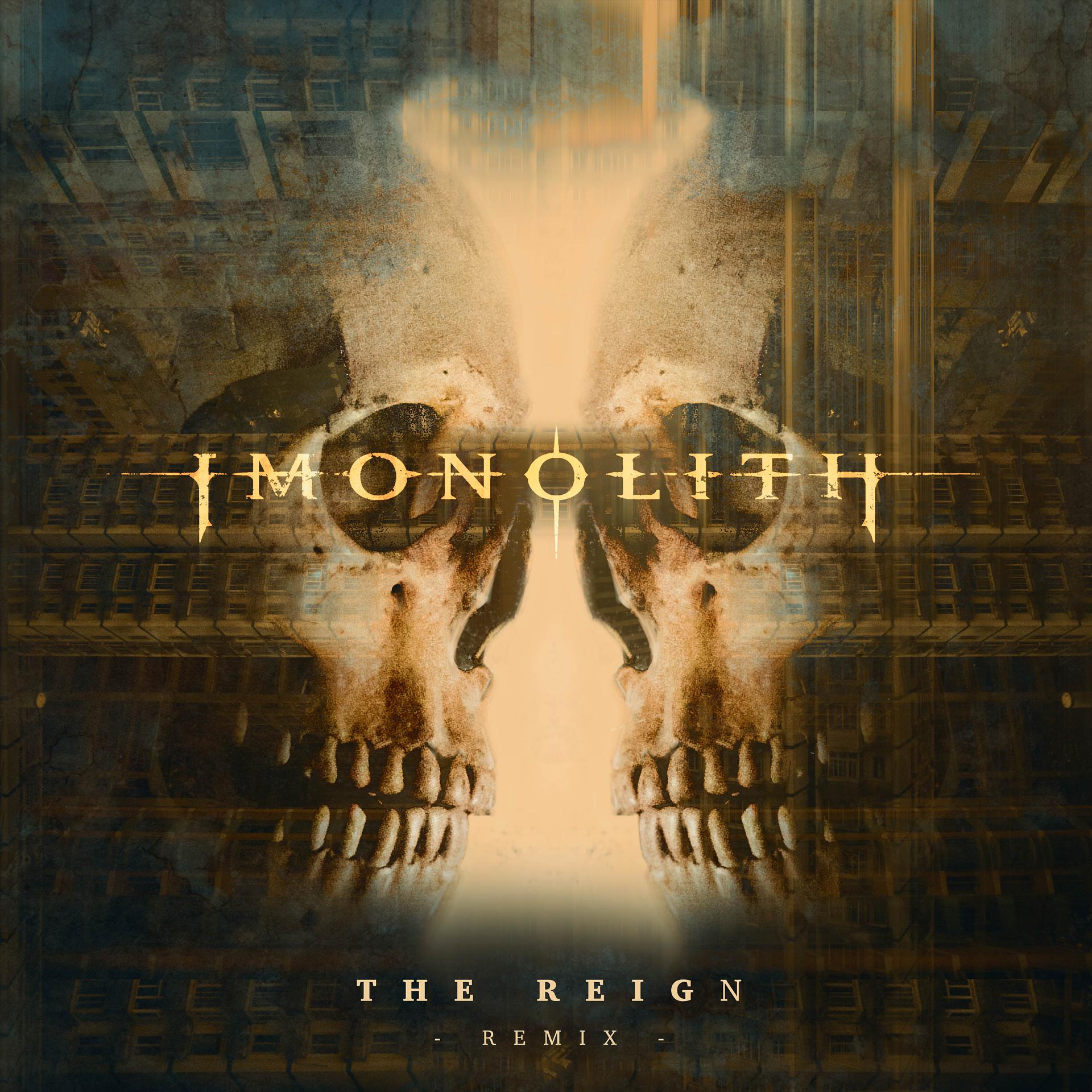 Постер альбома The Reign (Remix)