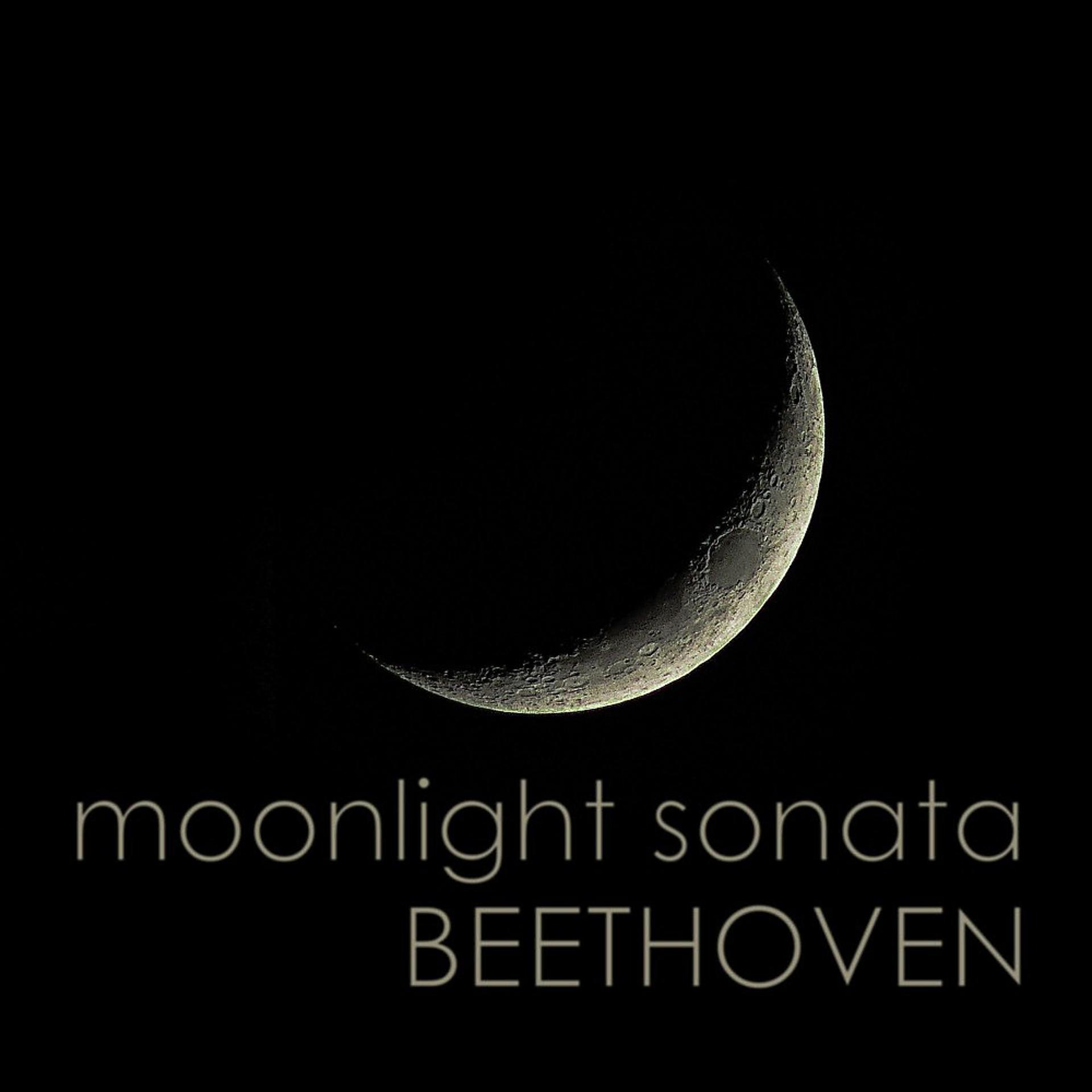 Постер альбома Beethoven: Moonlight Sonata