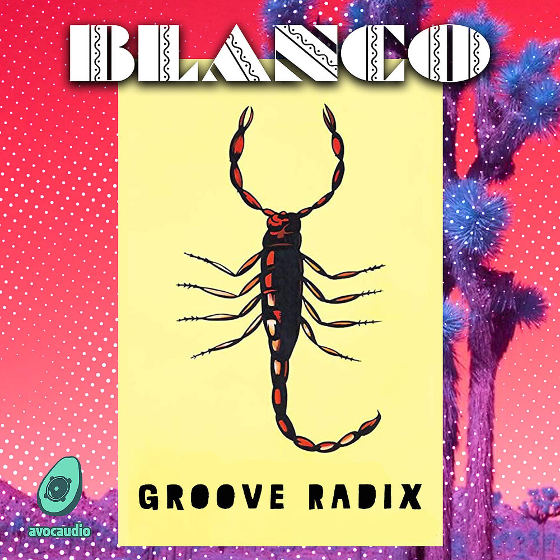Постер альбома Groove Radix
