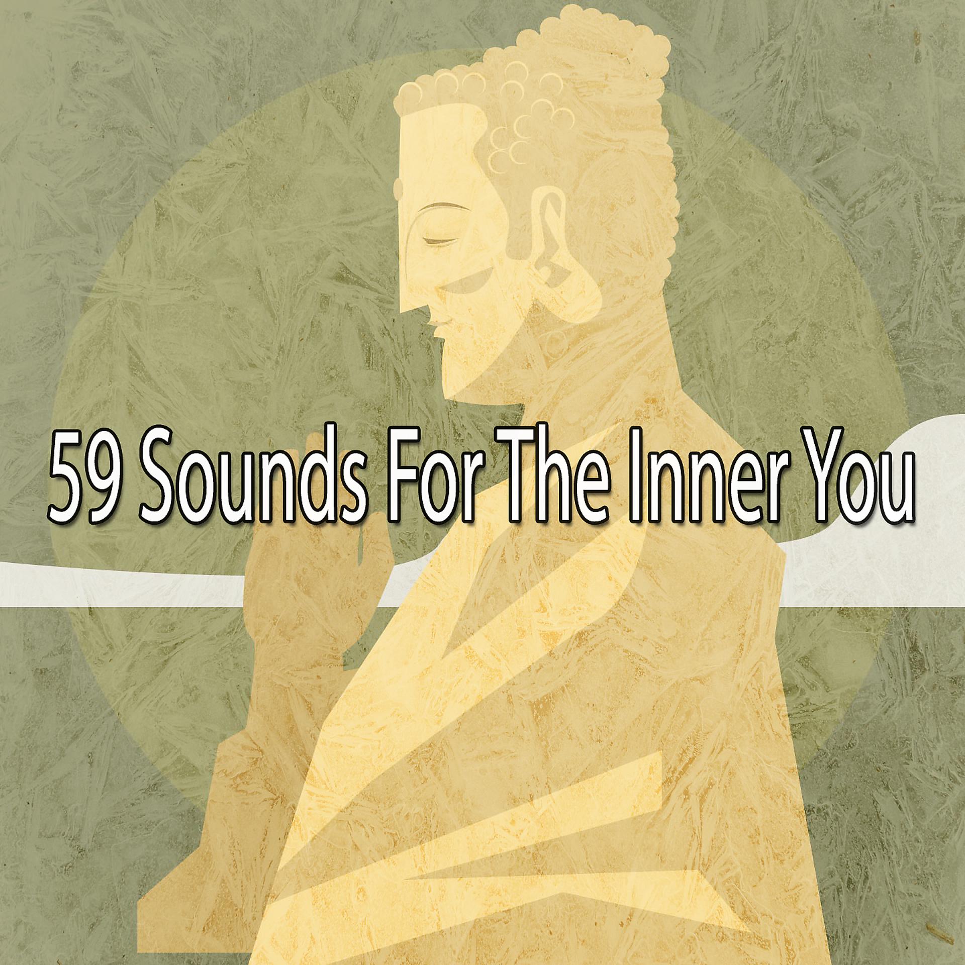 Постер альбома 59 звуков для внутреннего вас