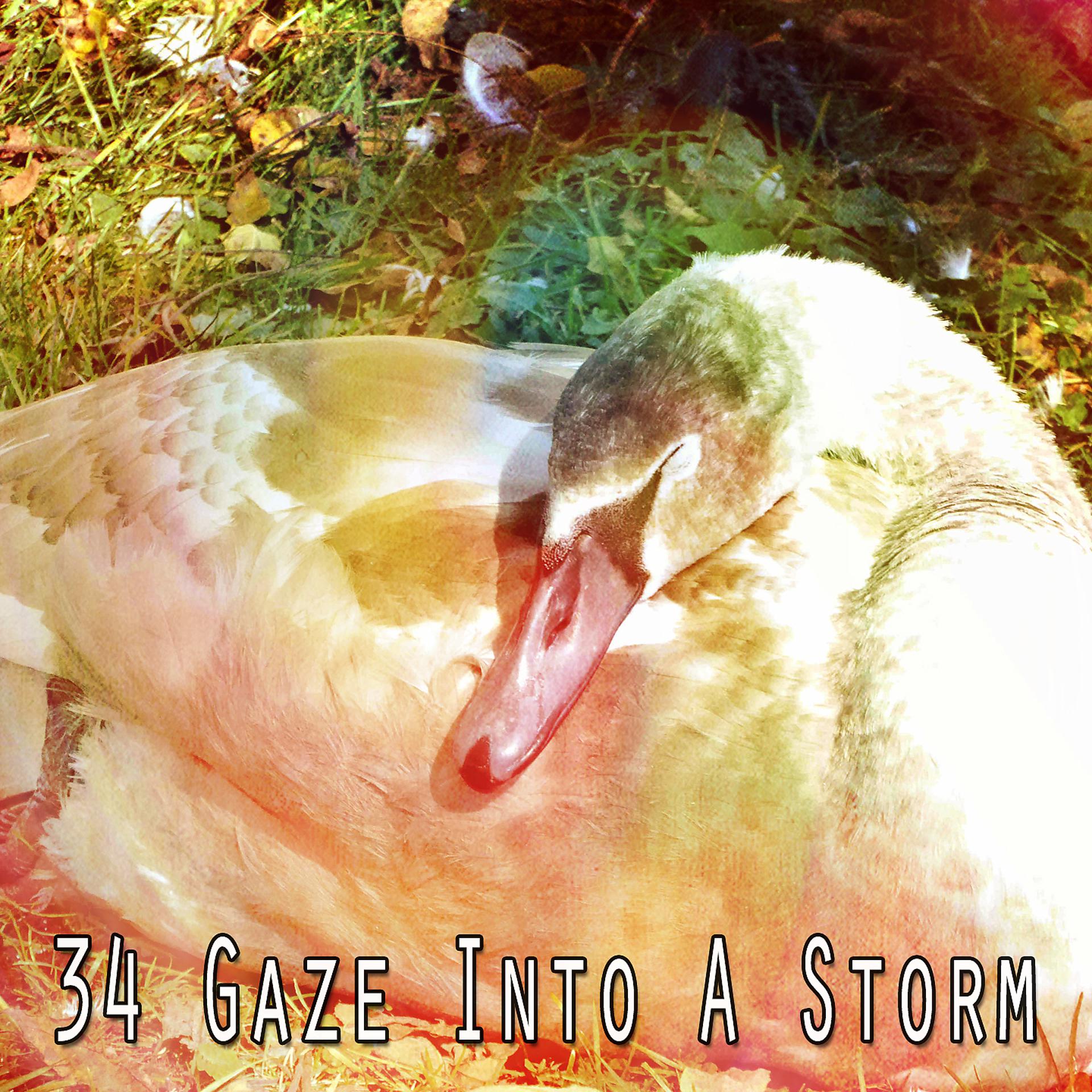 Постер альбома 34 Взгляд в шторм