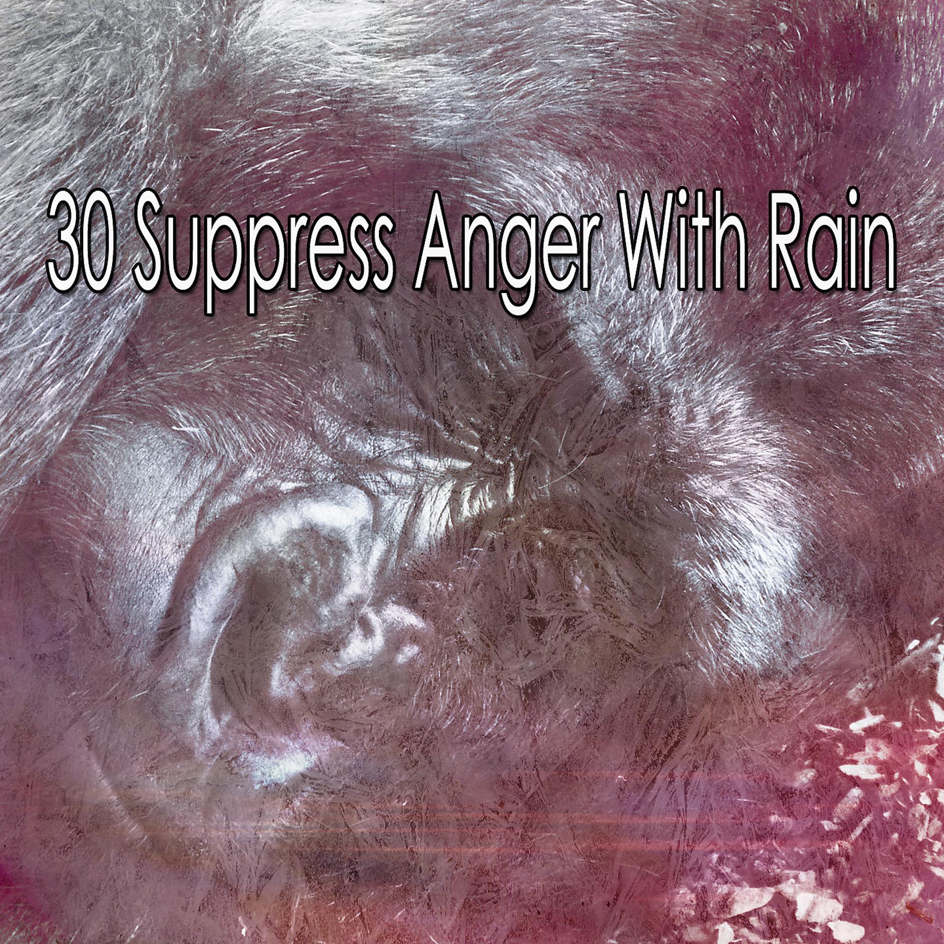 Постер альбома 30 Подавить гнев с помощью дождя