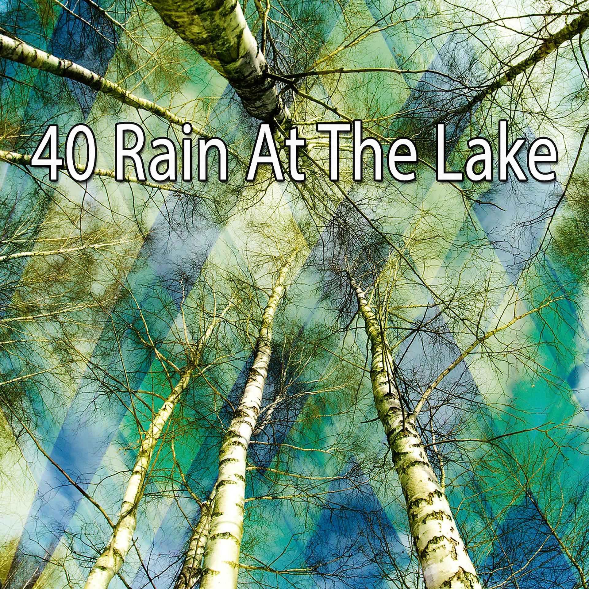 Постер альбома 40 Дождь на озере