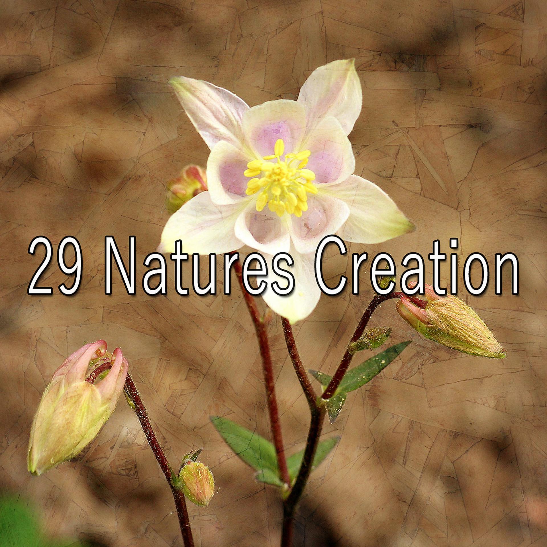 Постер альбома 29 Природы Творения