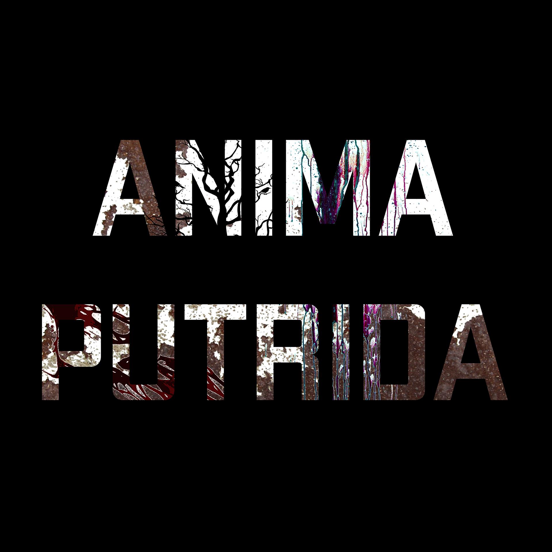 Постер альбома Anima putrida