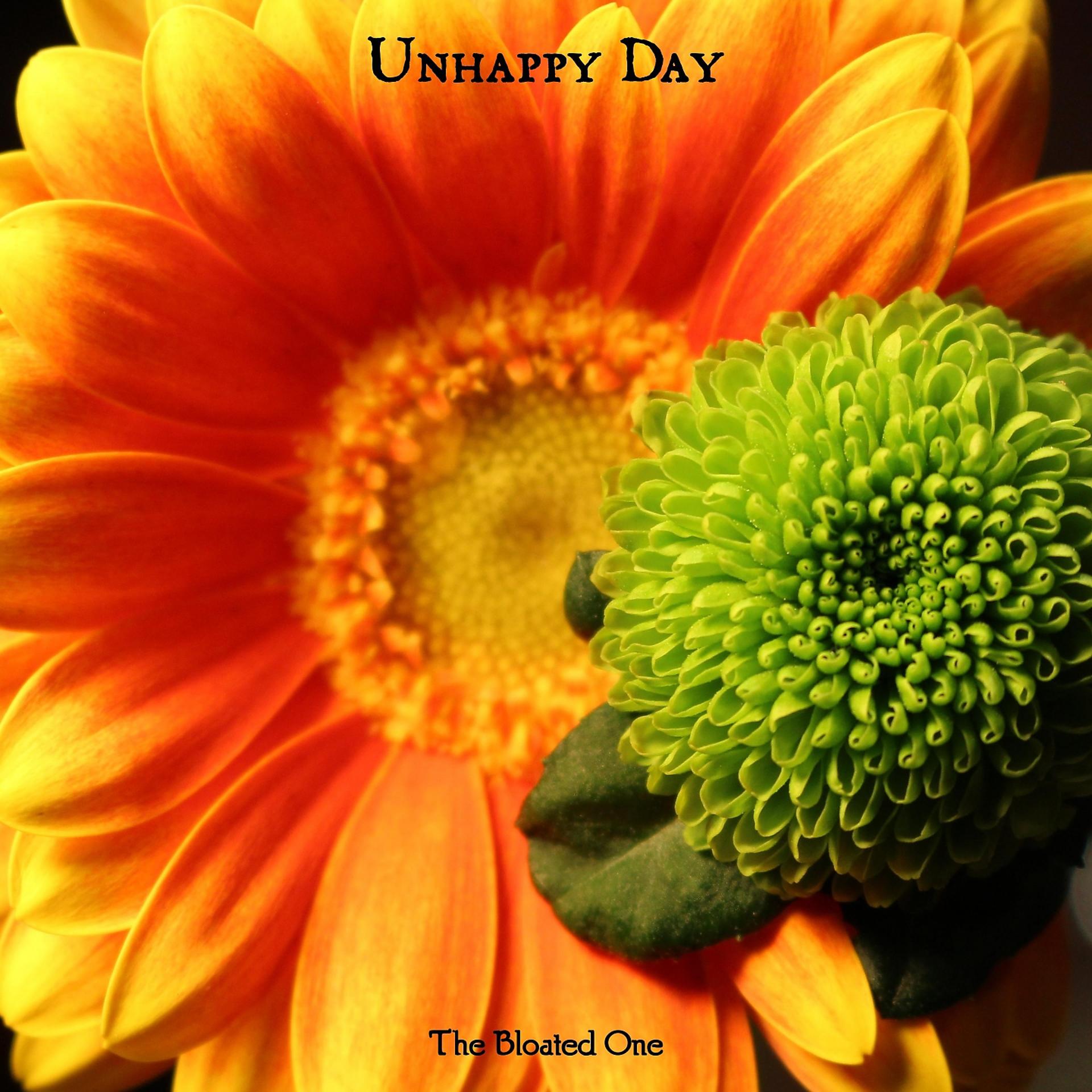 Постер альбома Unhappy Day