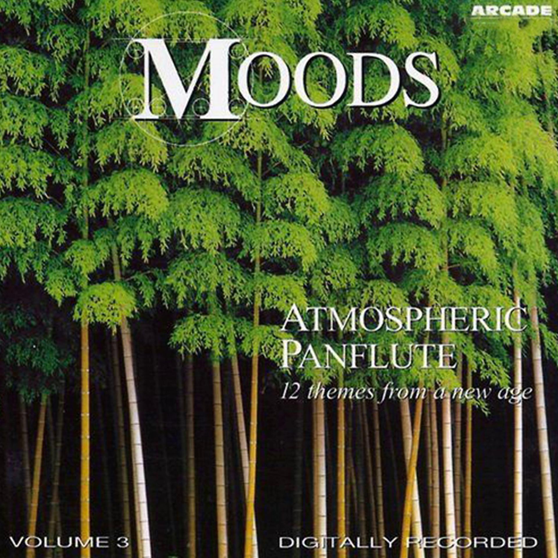 Постер альбома Moods - Atmospheric Panflute