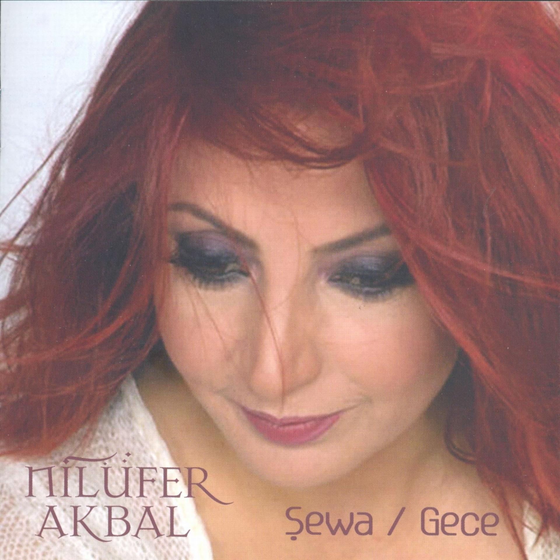 Постер альбома Şewa