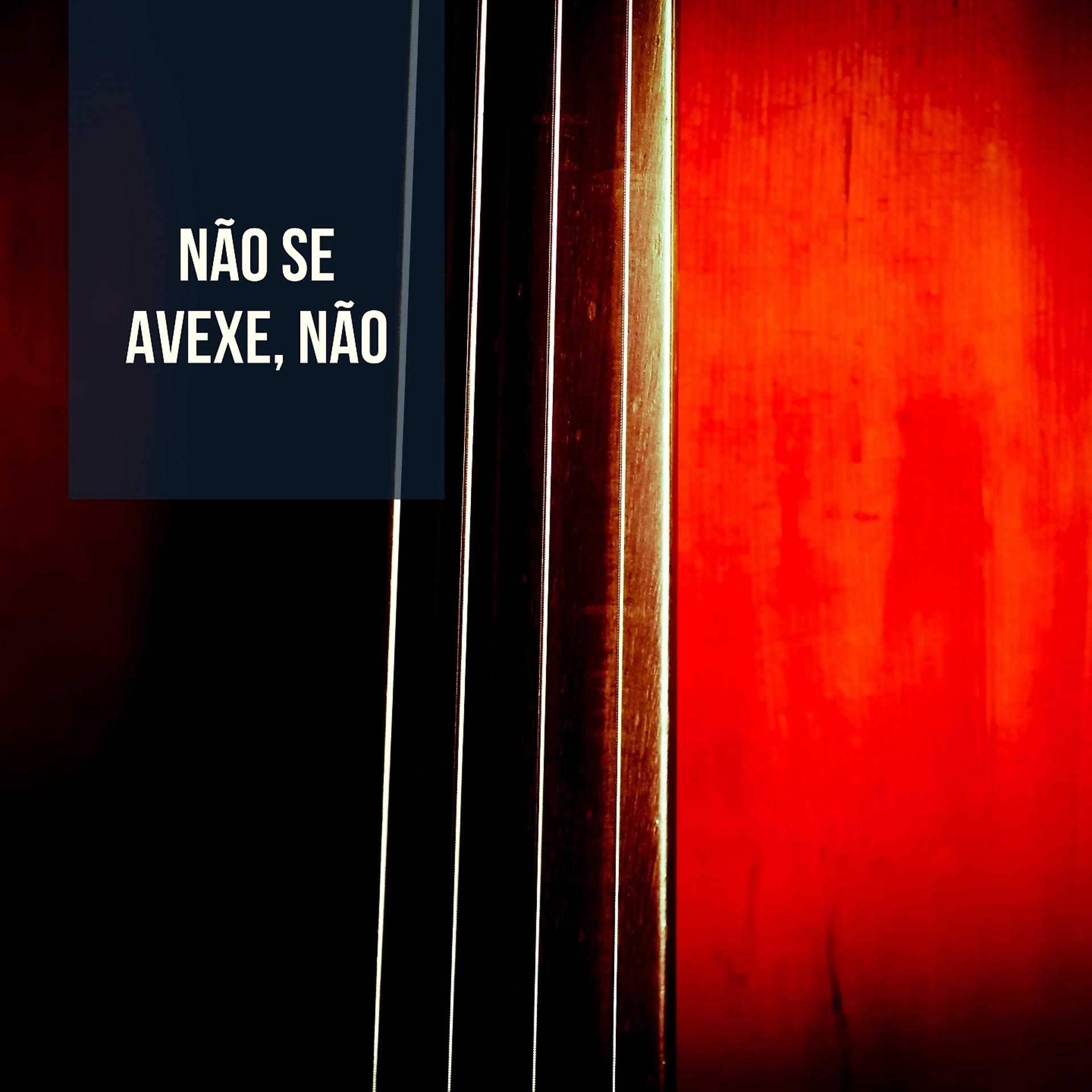 Постер альбома Não Se Avexe, Não