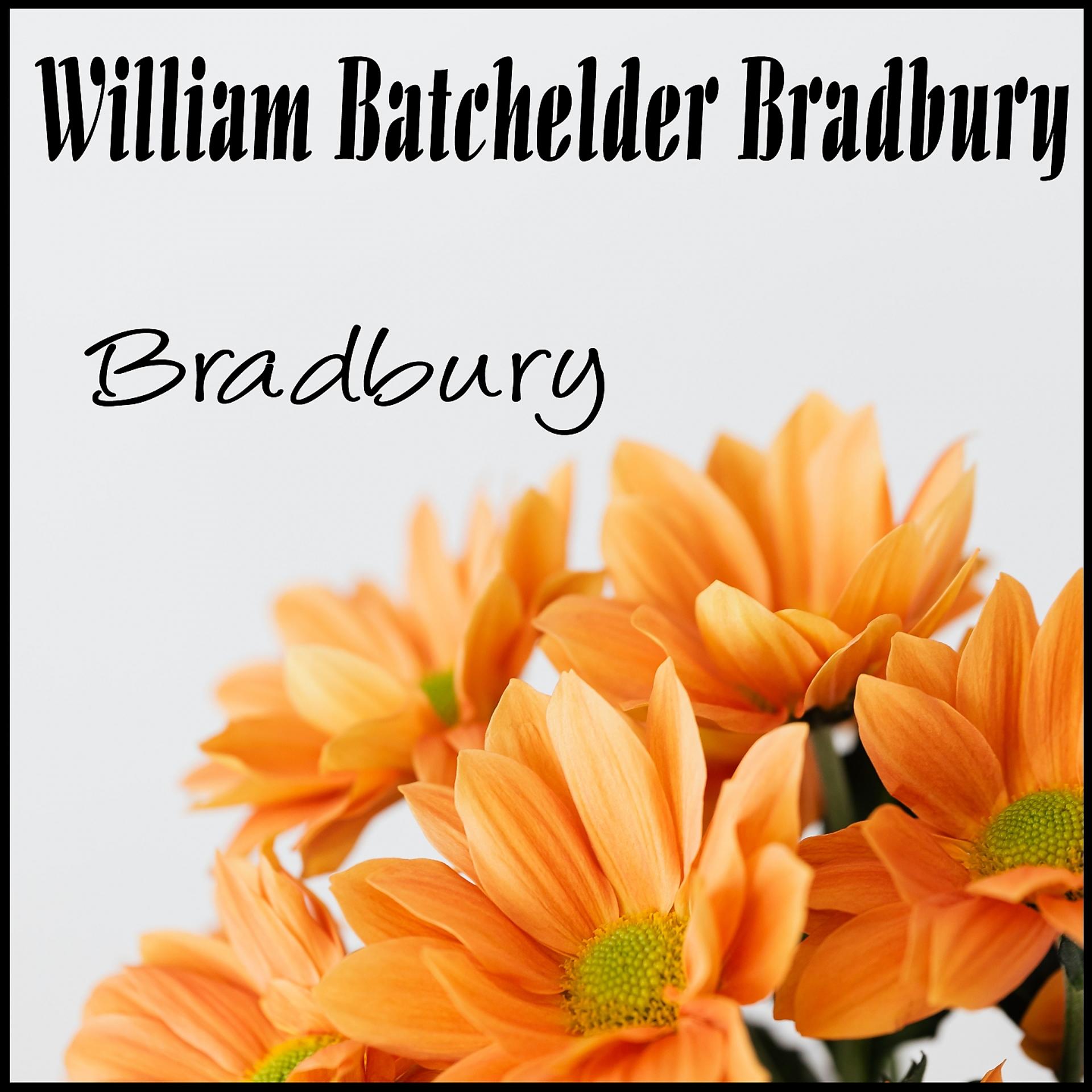 Постер альбома Bradbury