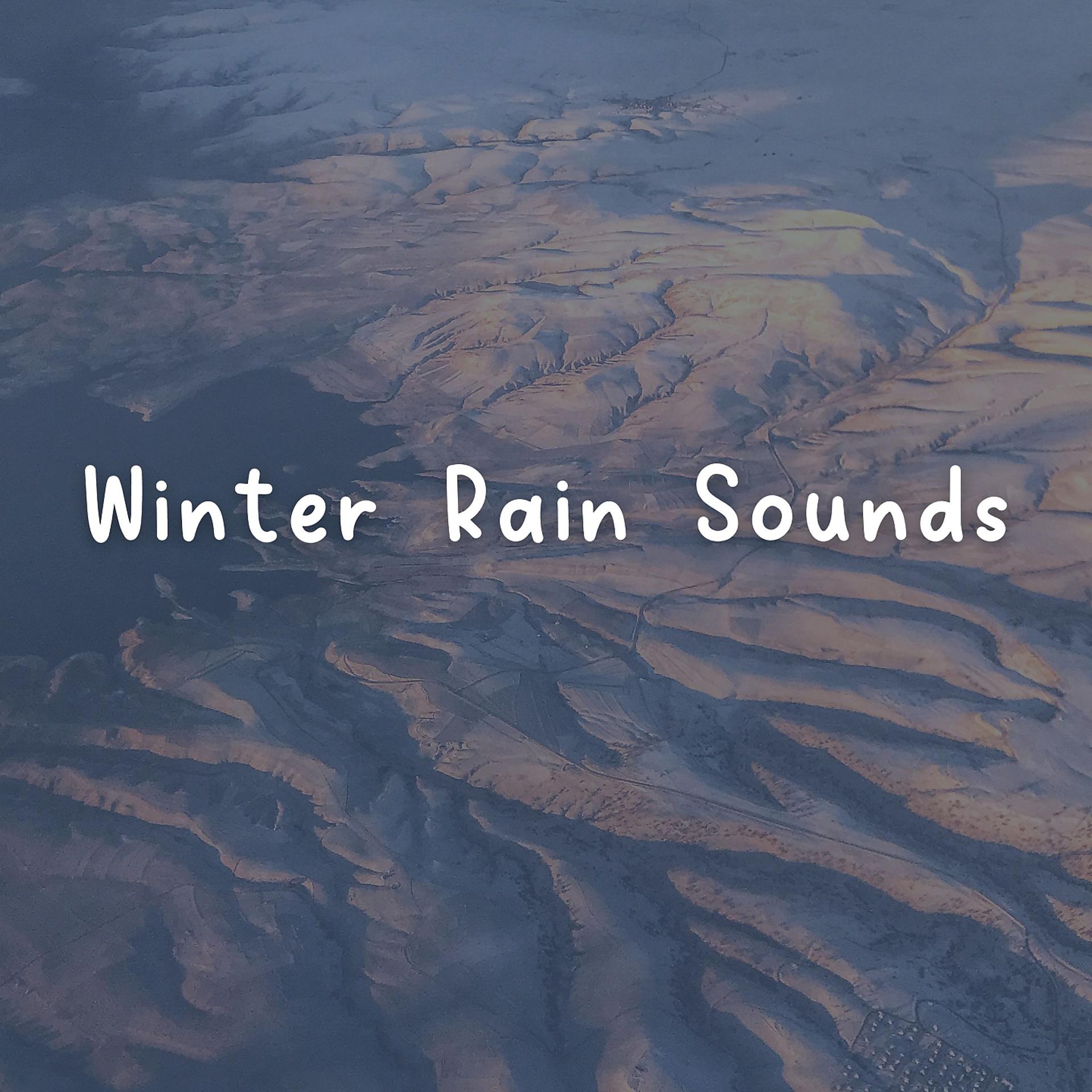 Постер альбома Winter Rain Sounds