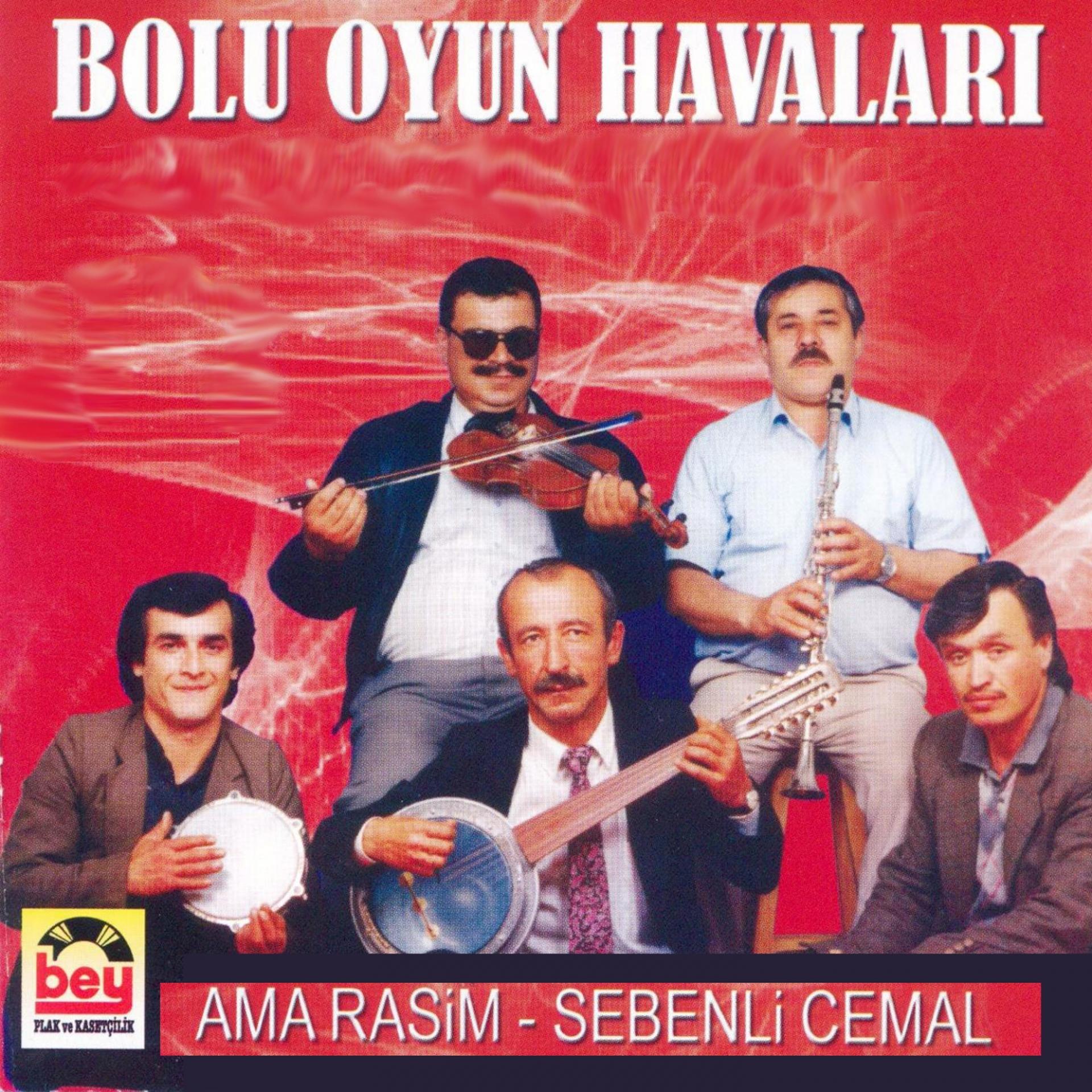 Постер альбома Bolu Oyun Havaları