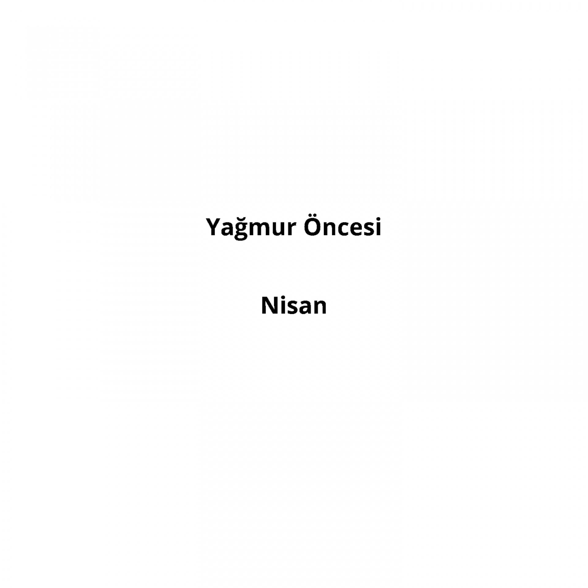 Постер альбома Nisan