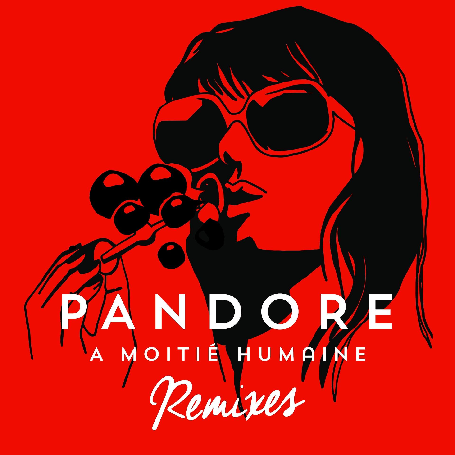 Постер альбома A moitié humaine (Remixes)