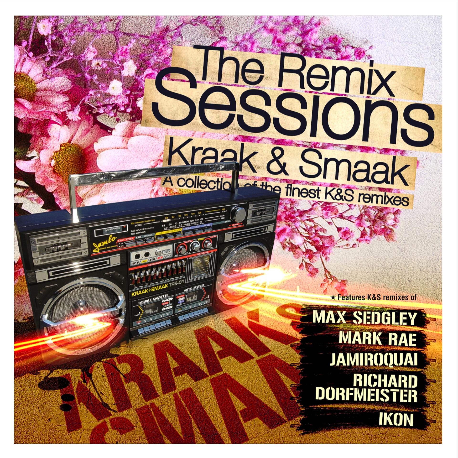 Постер альбома The Remix Sessions