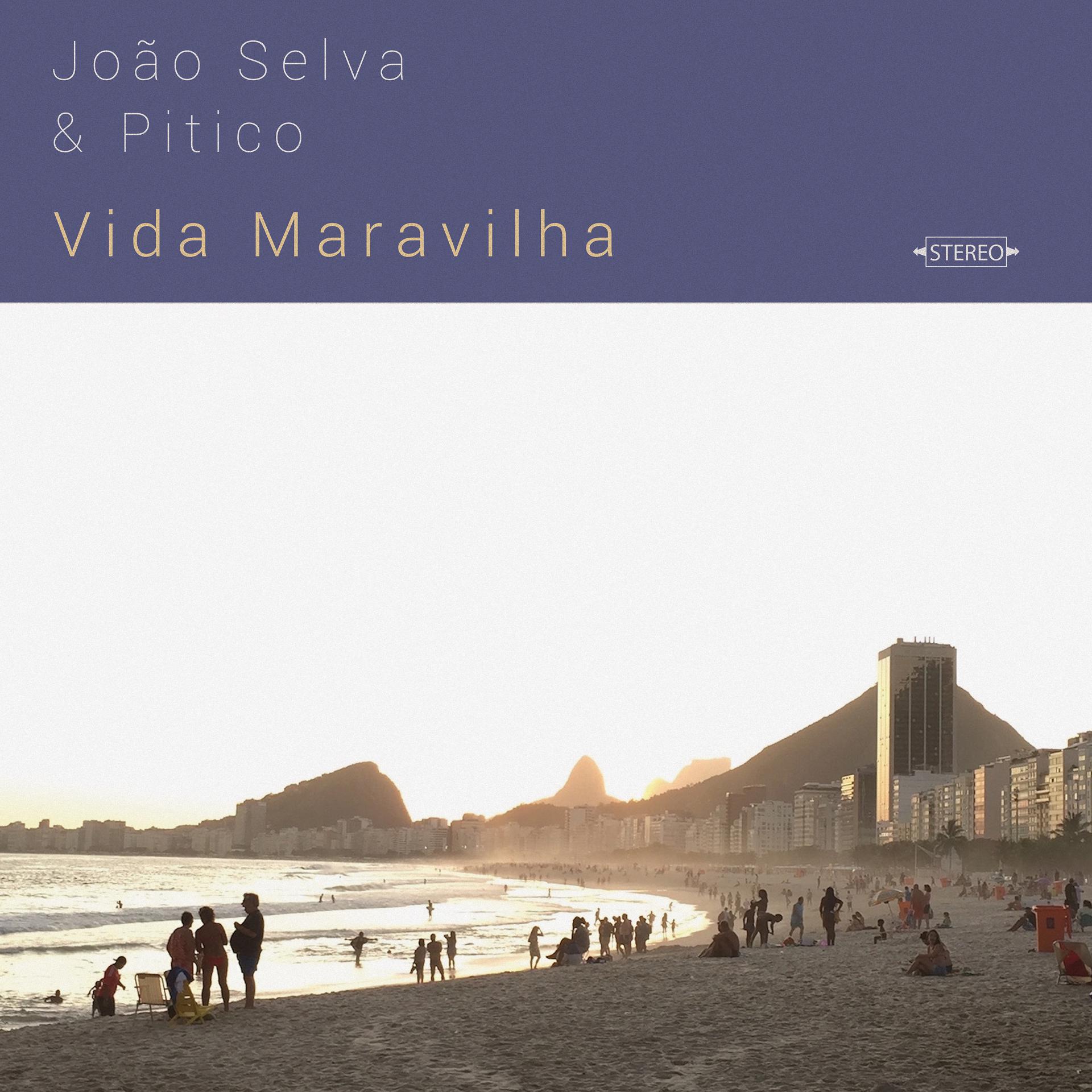 Постер альбома Vida Maravilha